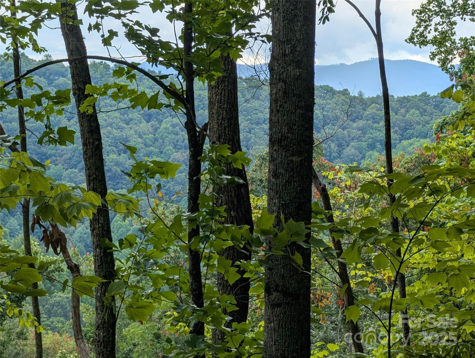 99999 Running Deer Lane #25 - Photo 3