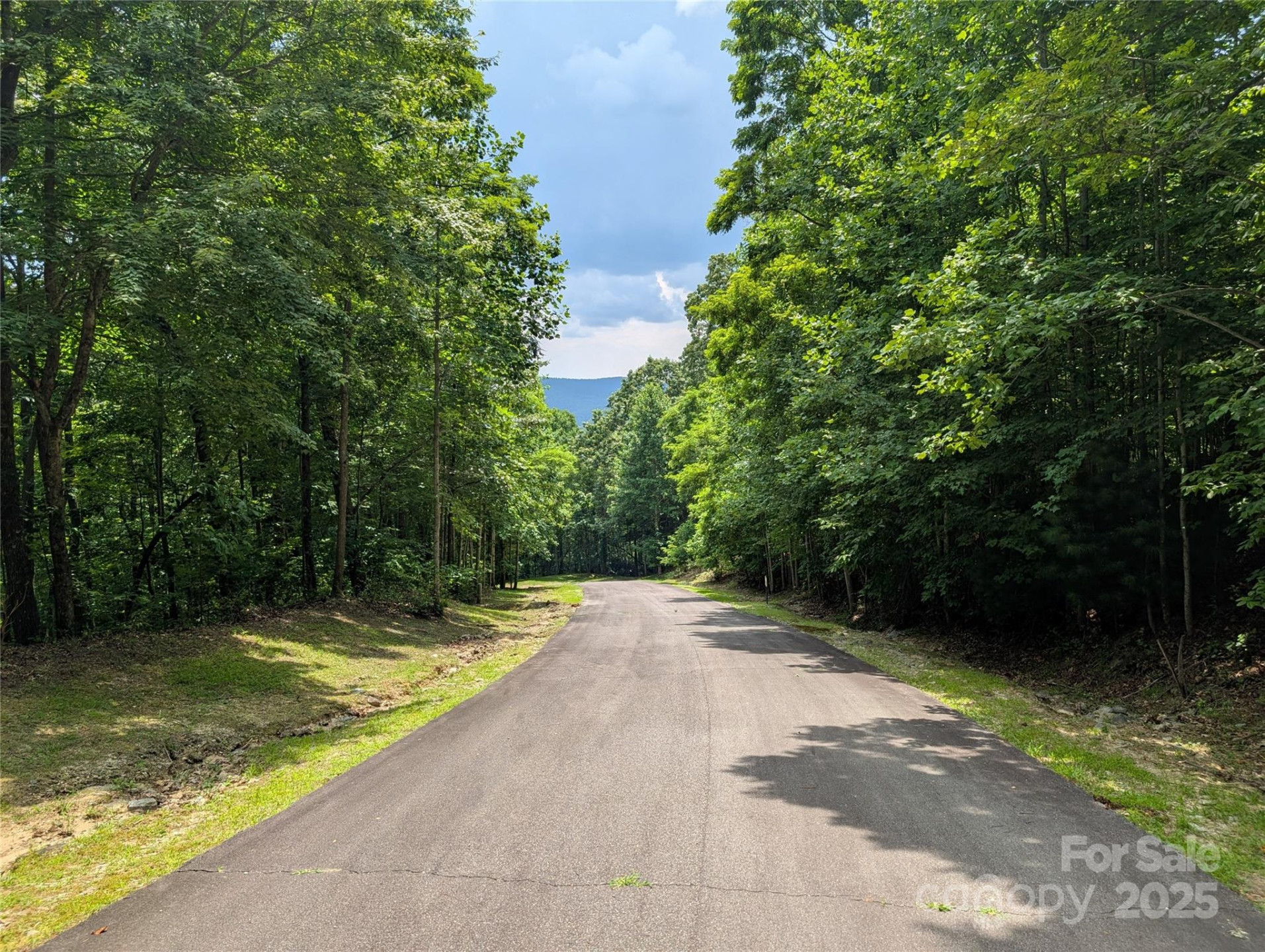 115 Ivywood Lane - Photo 2