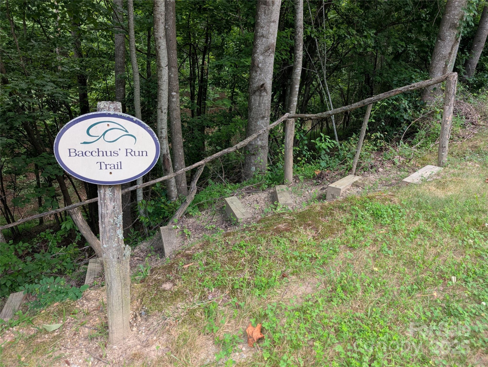 115 Ivywood Lane - Photo 13