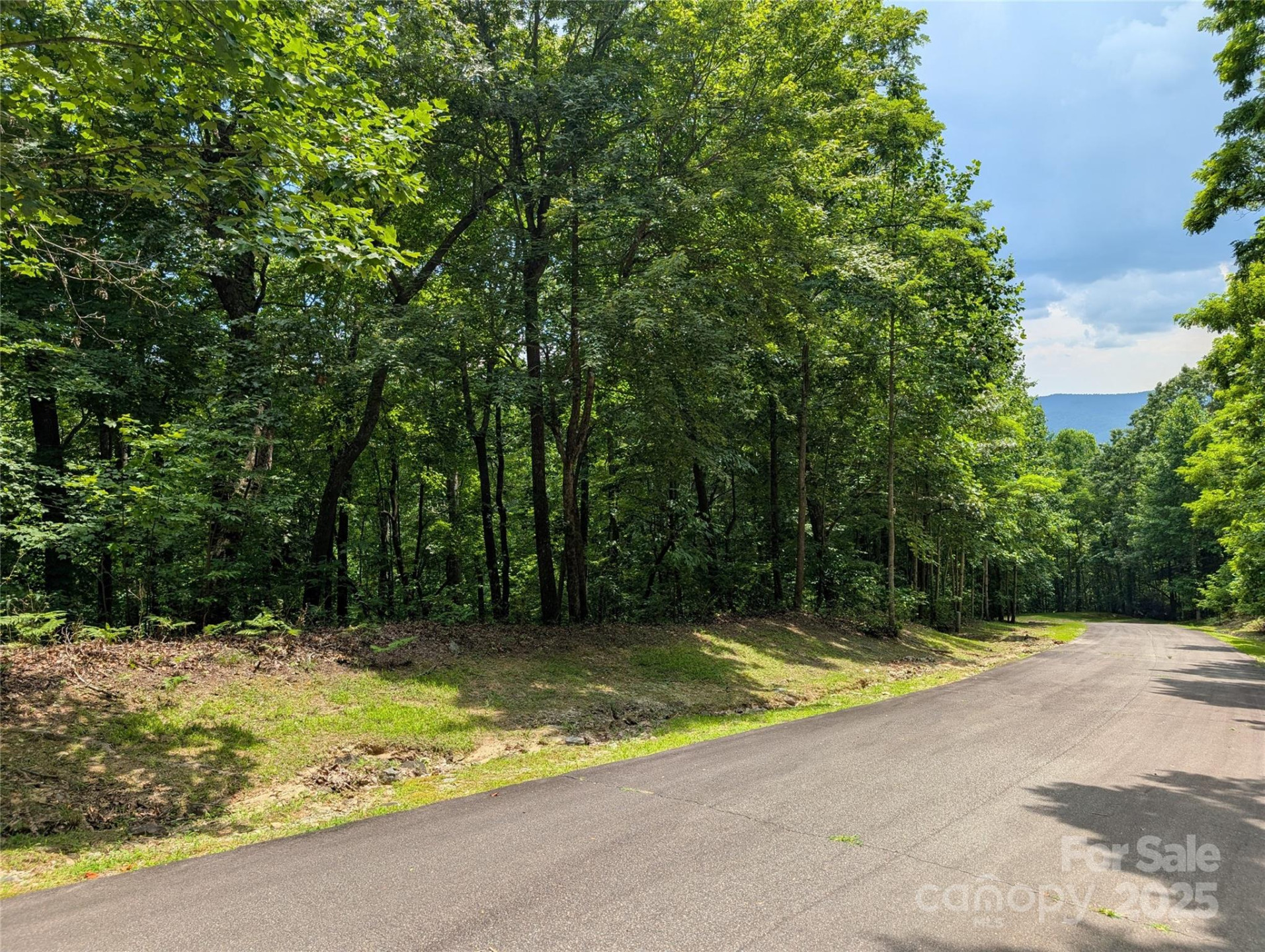 115 Ivywood Lane - Photo 3