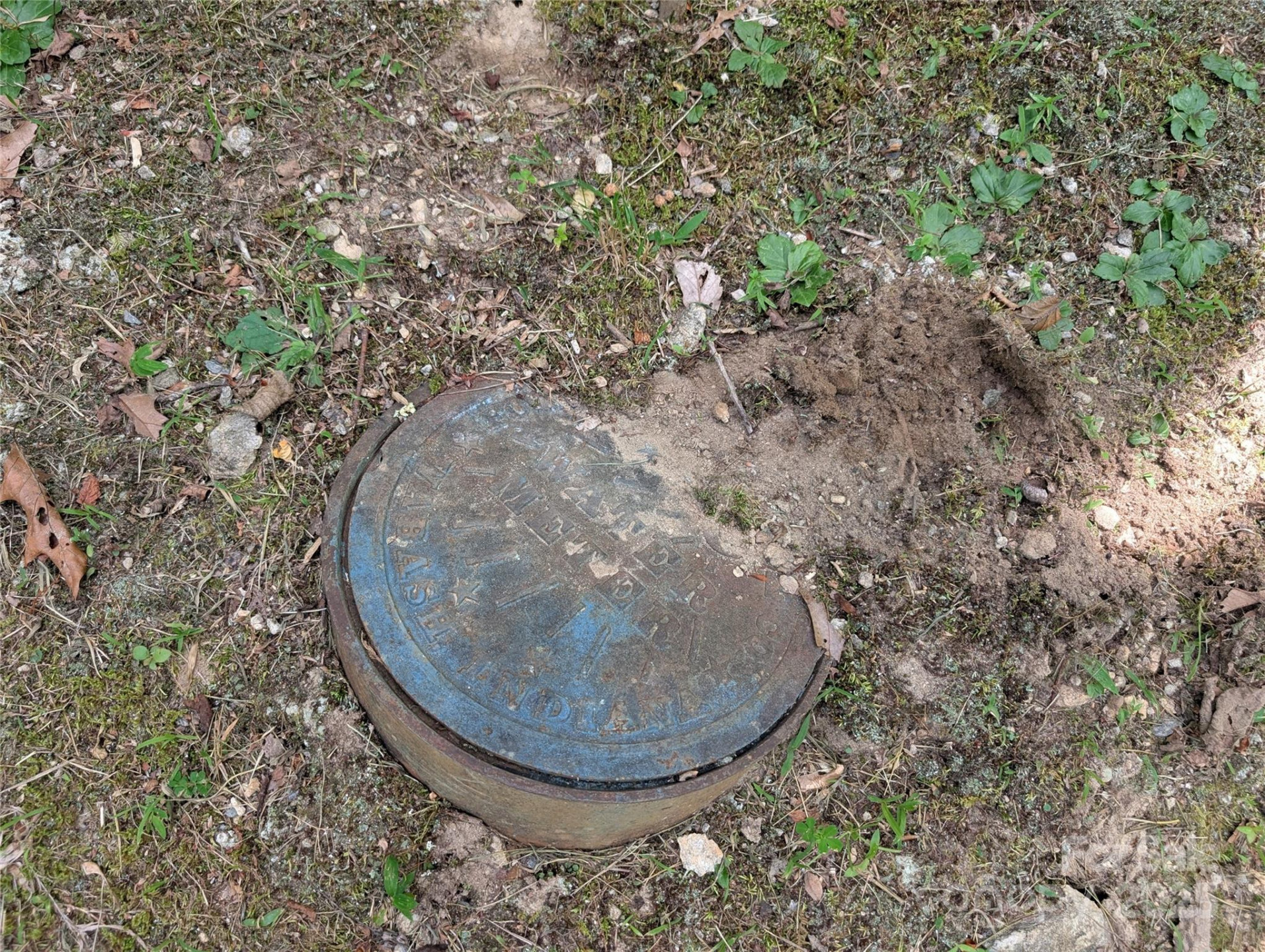 115 Ivywood Lane - Photo 5