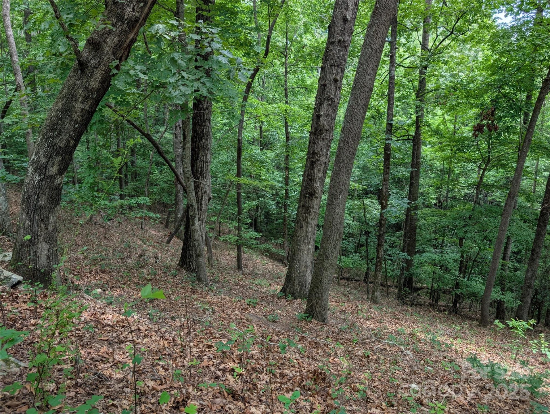 115 Ivywood Lane - Photo 6