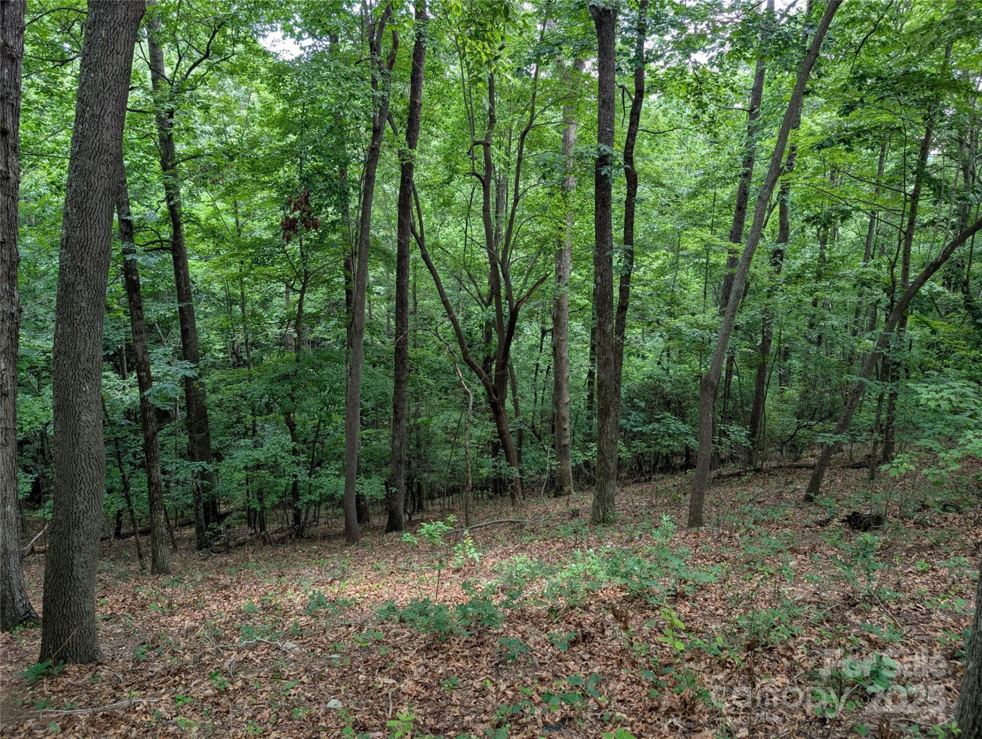 115 Ivywood Lane - Photo 7