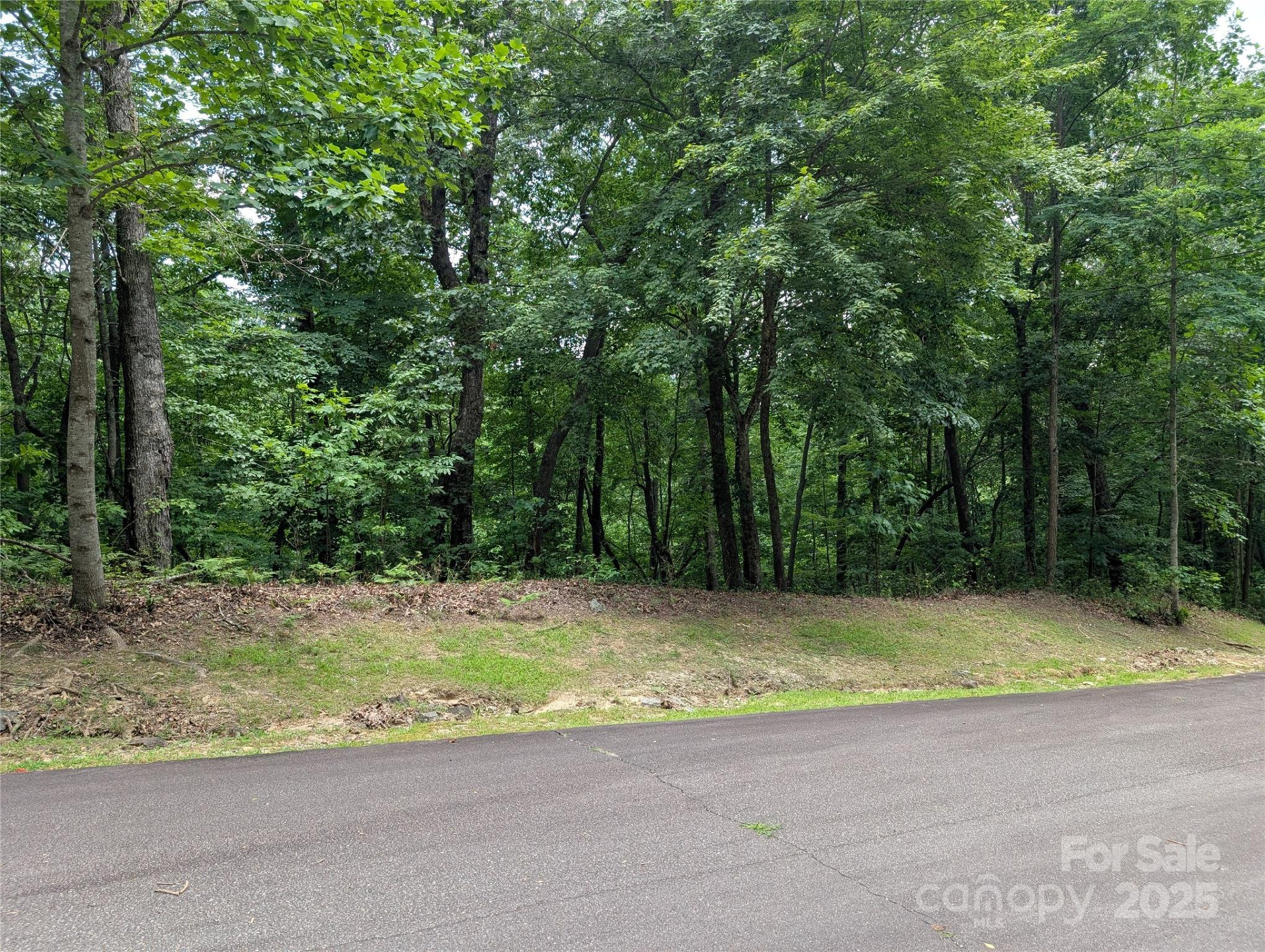 115 Ivywood Lane - Photo 8