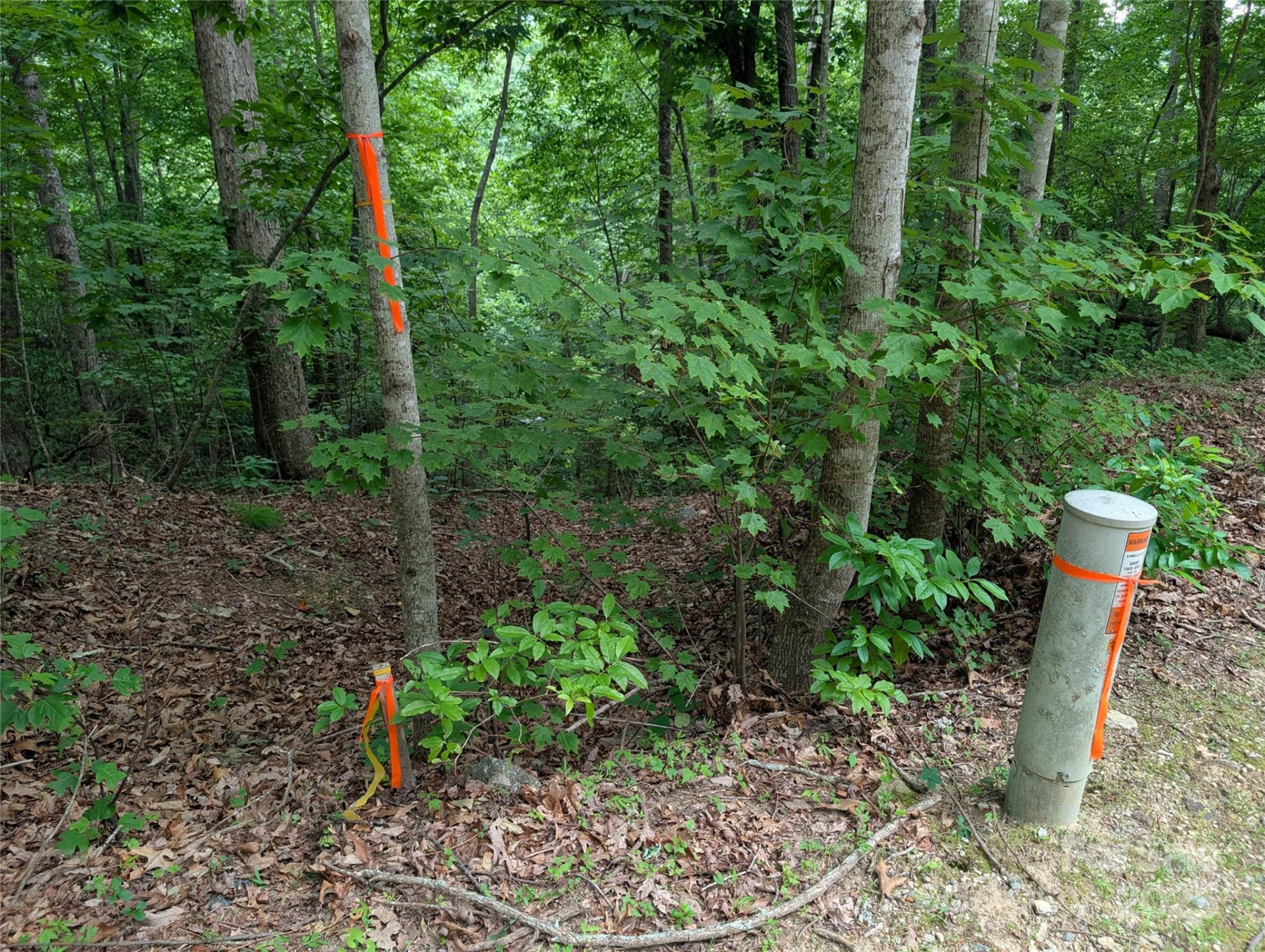 115 Ivywood Lane - Photo 9