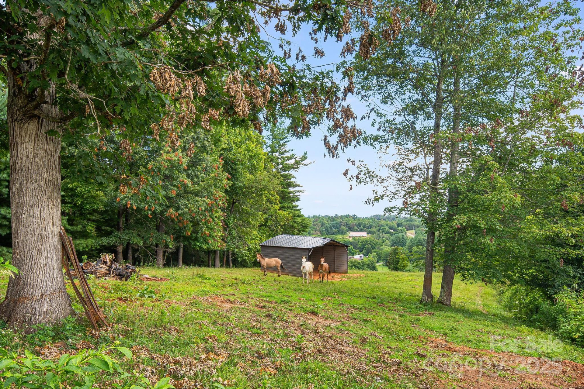 TBD Don Felmet Road - Photo 13