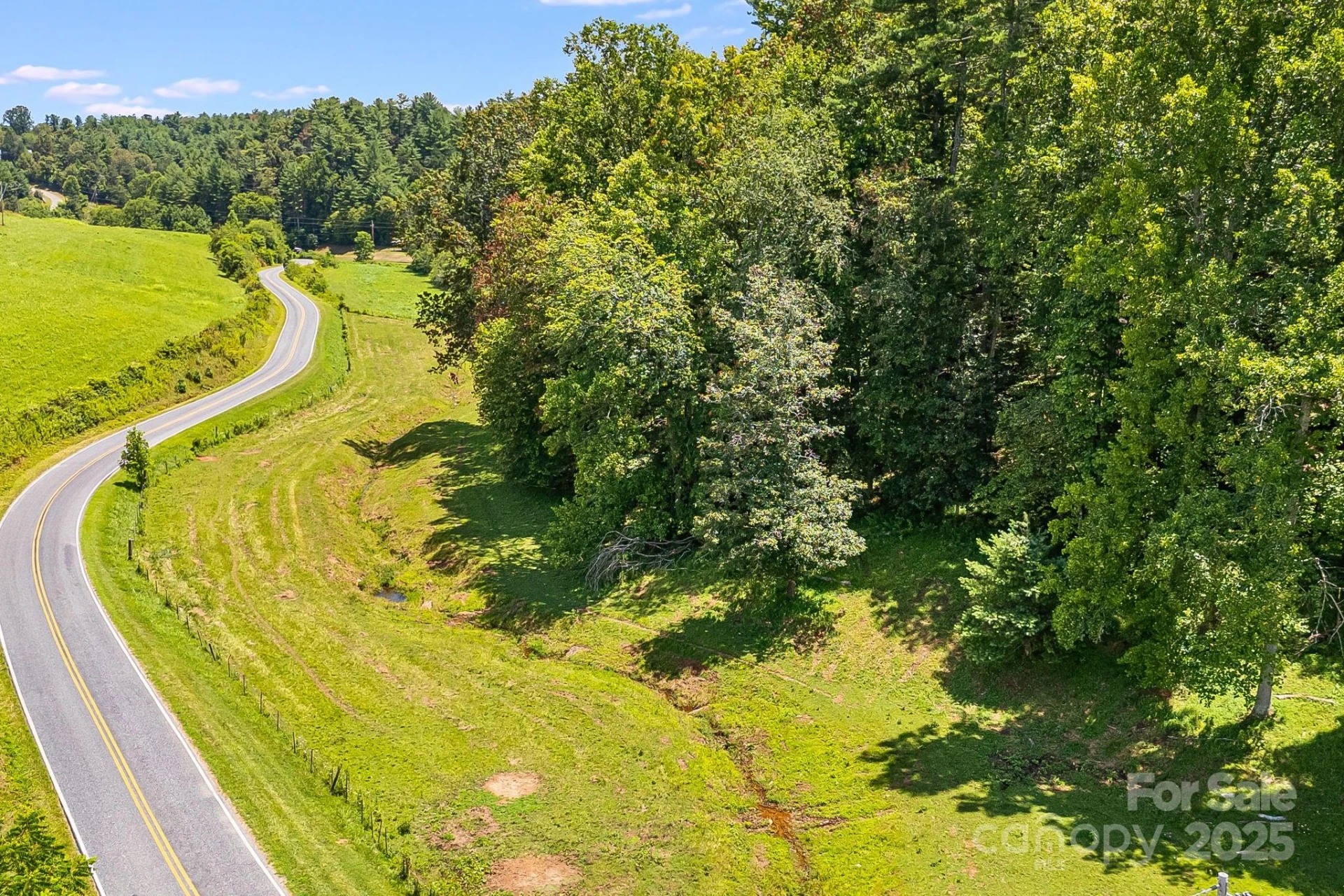 TBD Don Felmet Road - Photo 6