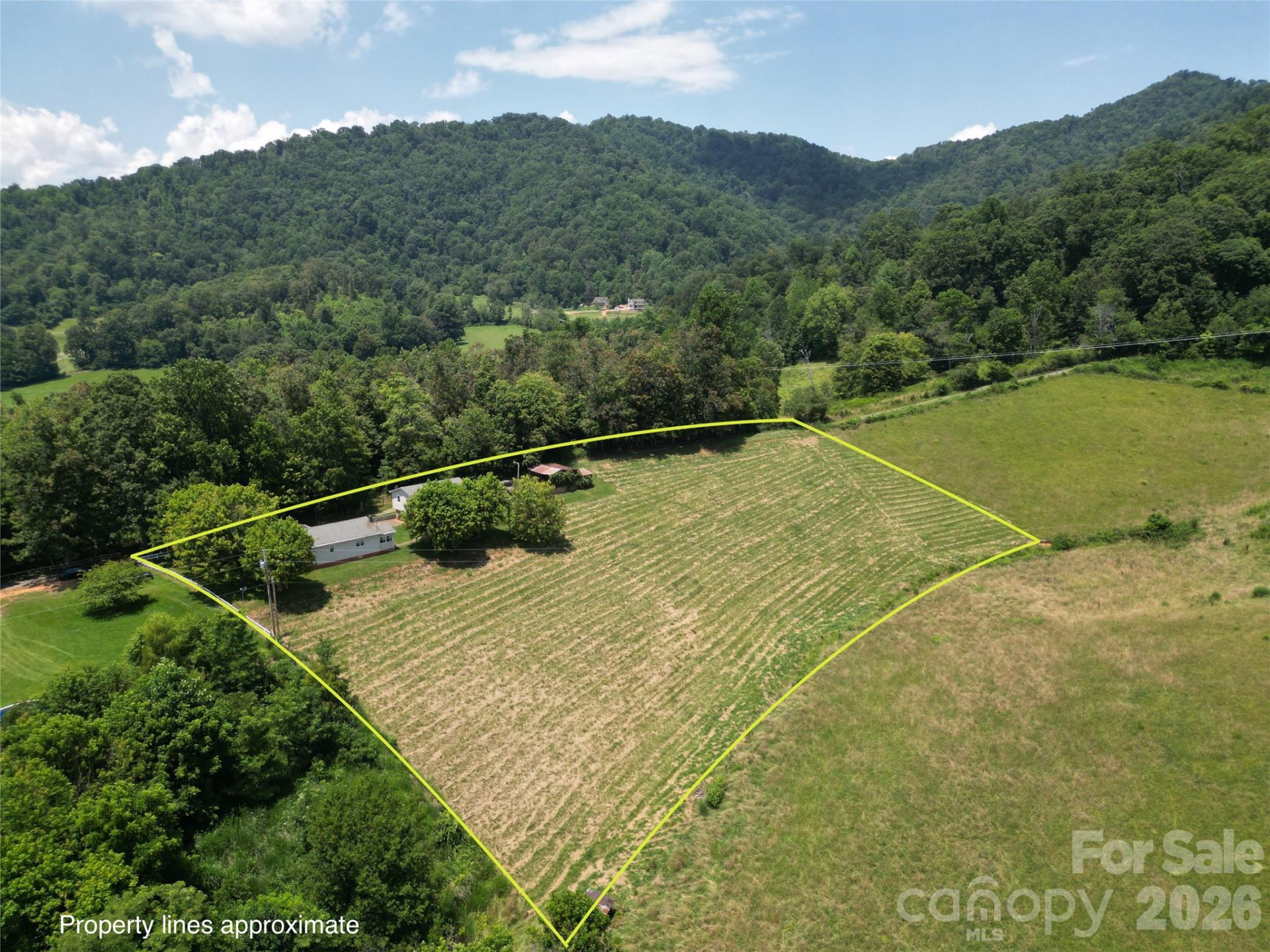 560 Bailey Mountain Road - Photo 2