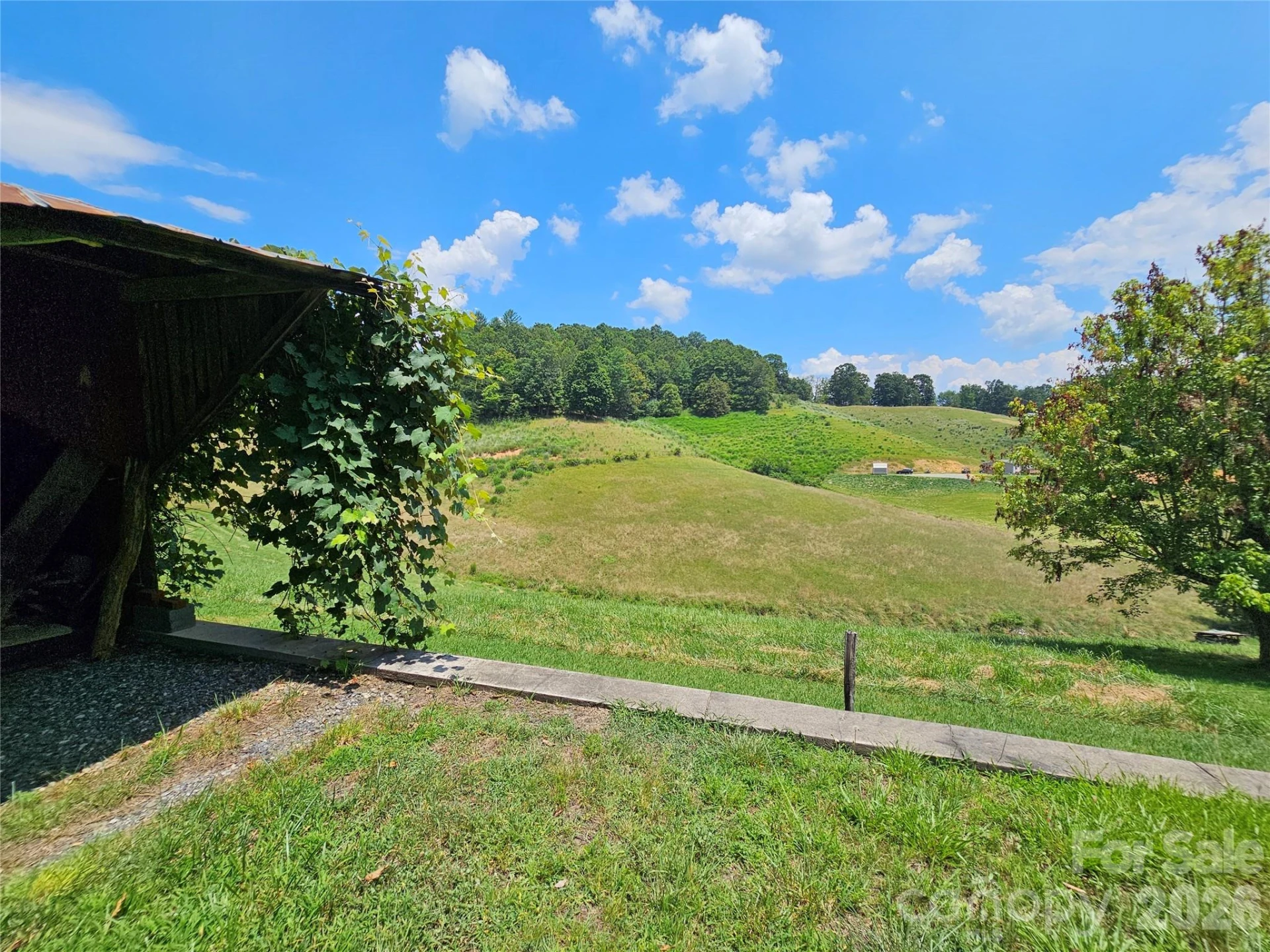 560 Bailey Mountain Road - Photo 8