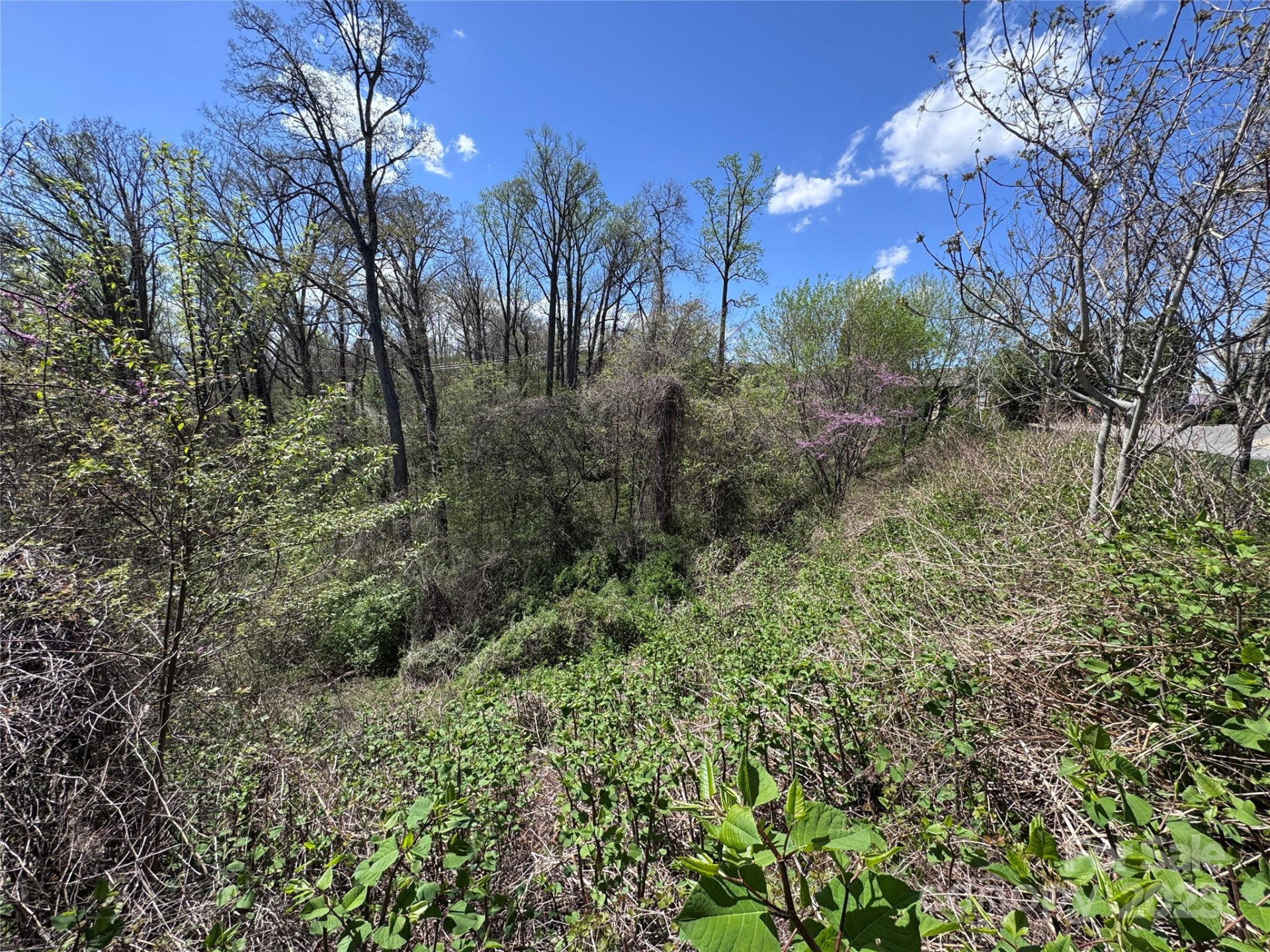 44 Samuel Ashe Drive #55 - Photo 11