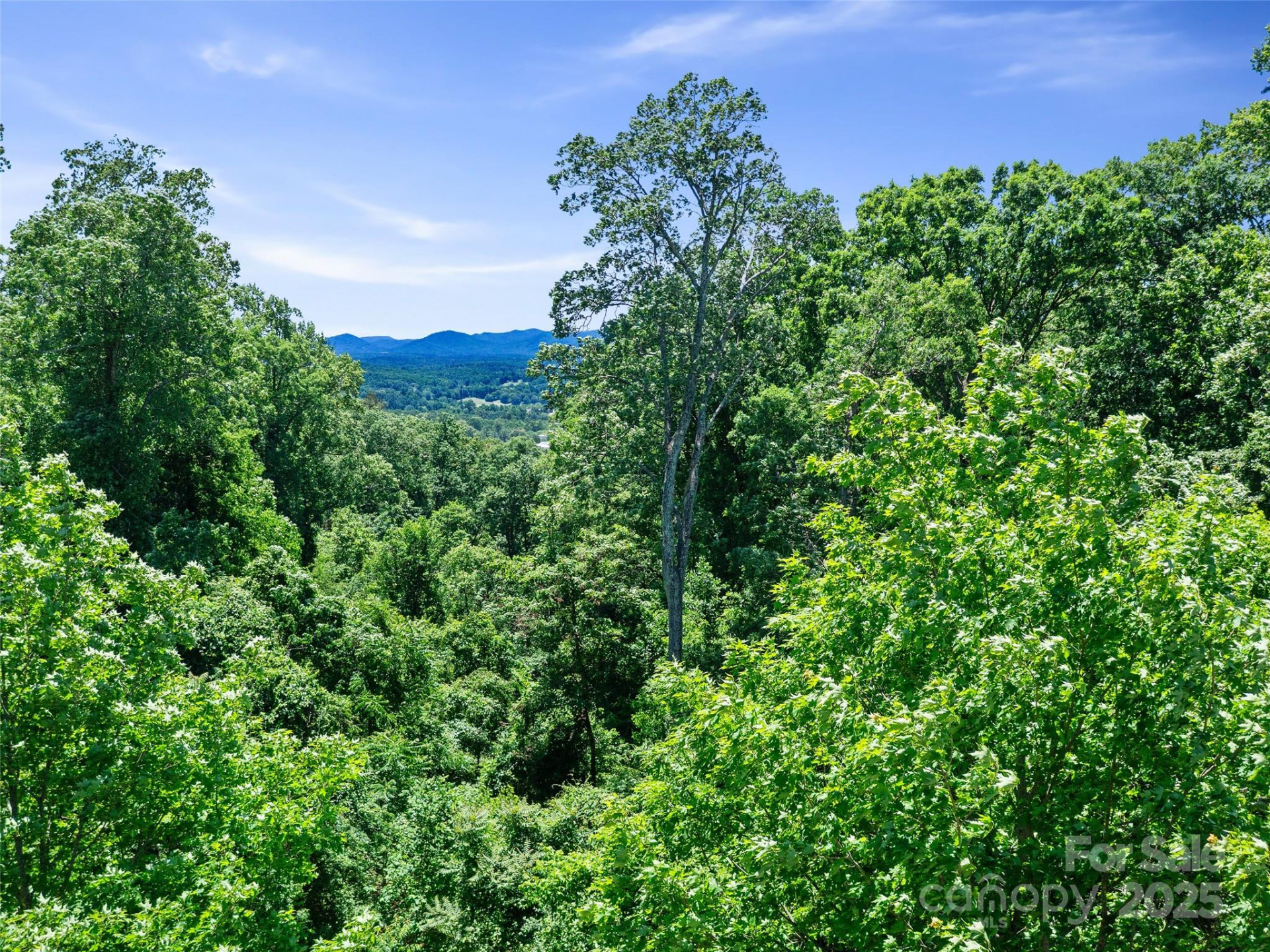 44 Samuel Ashe Drive #55 - Photo 22