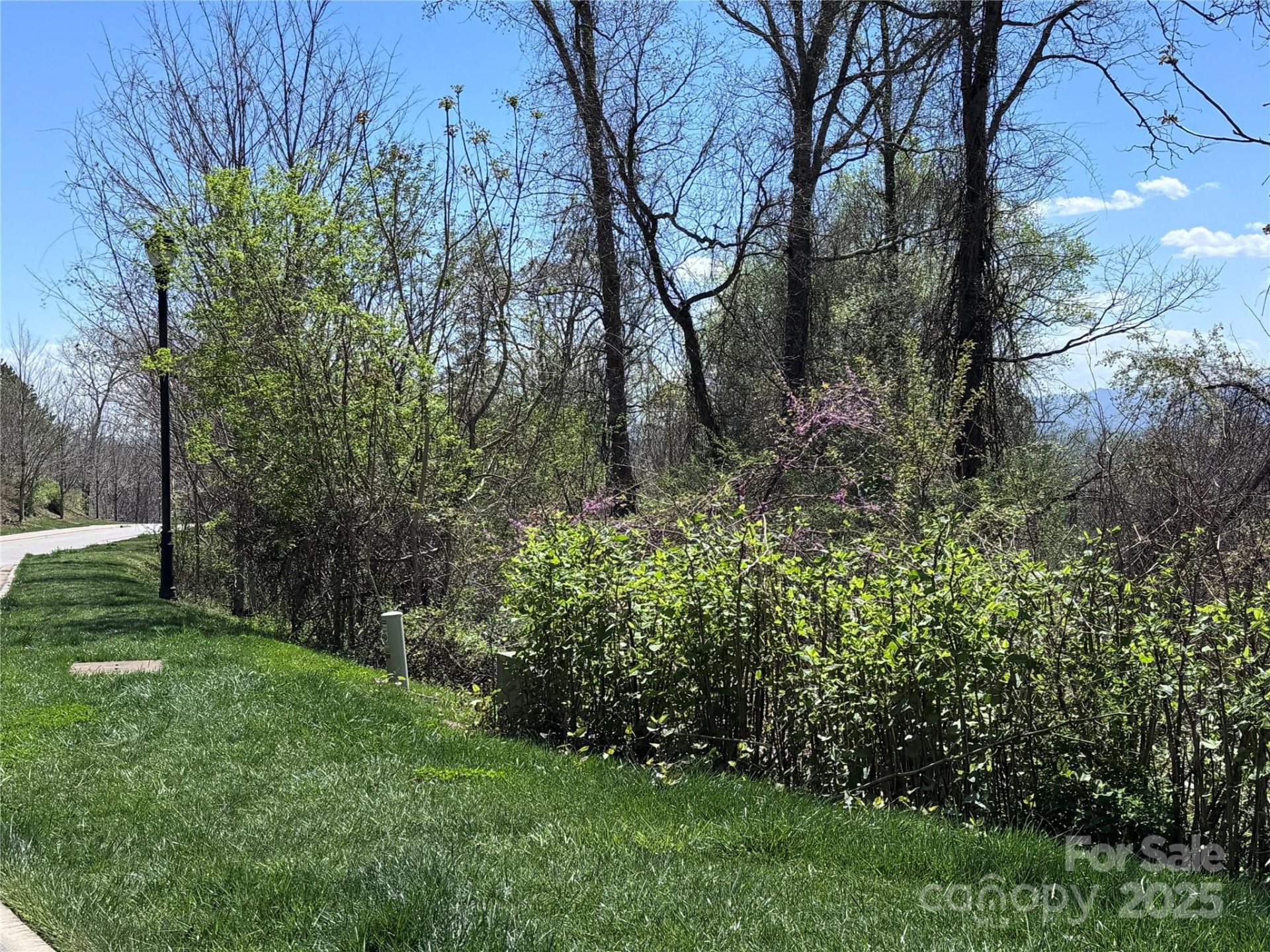 44 Samuel Ashe Drive #55 - Photo 10