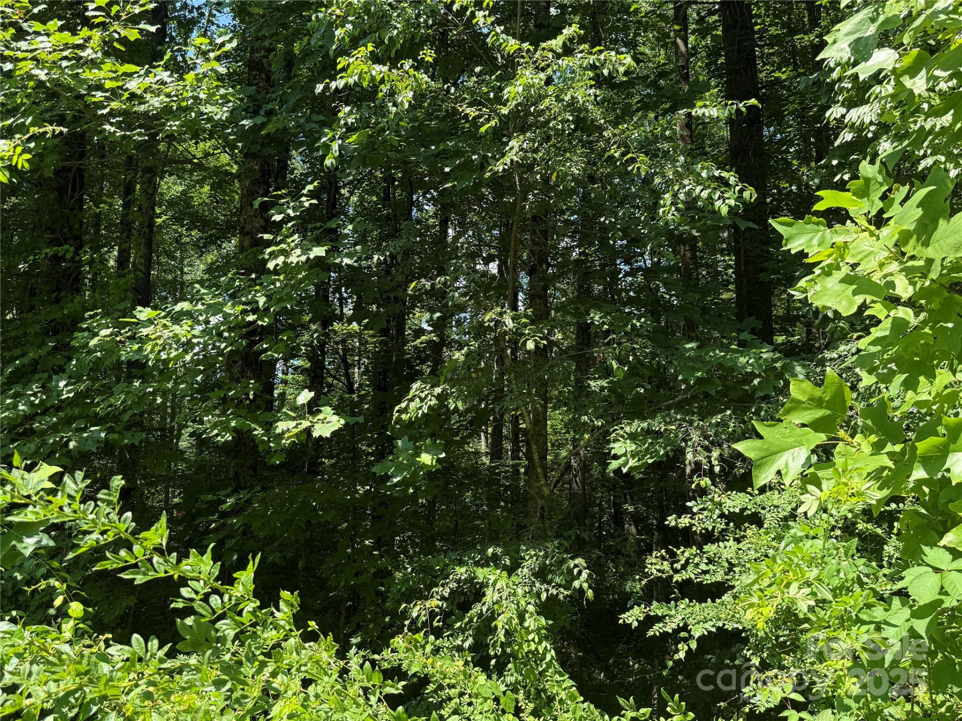 Lot 37 Mountain Brook Trail #37 - Photo 11