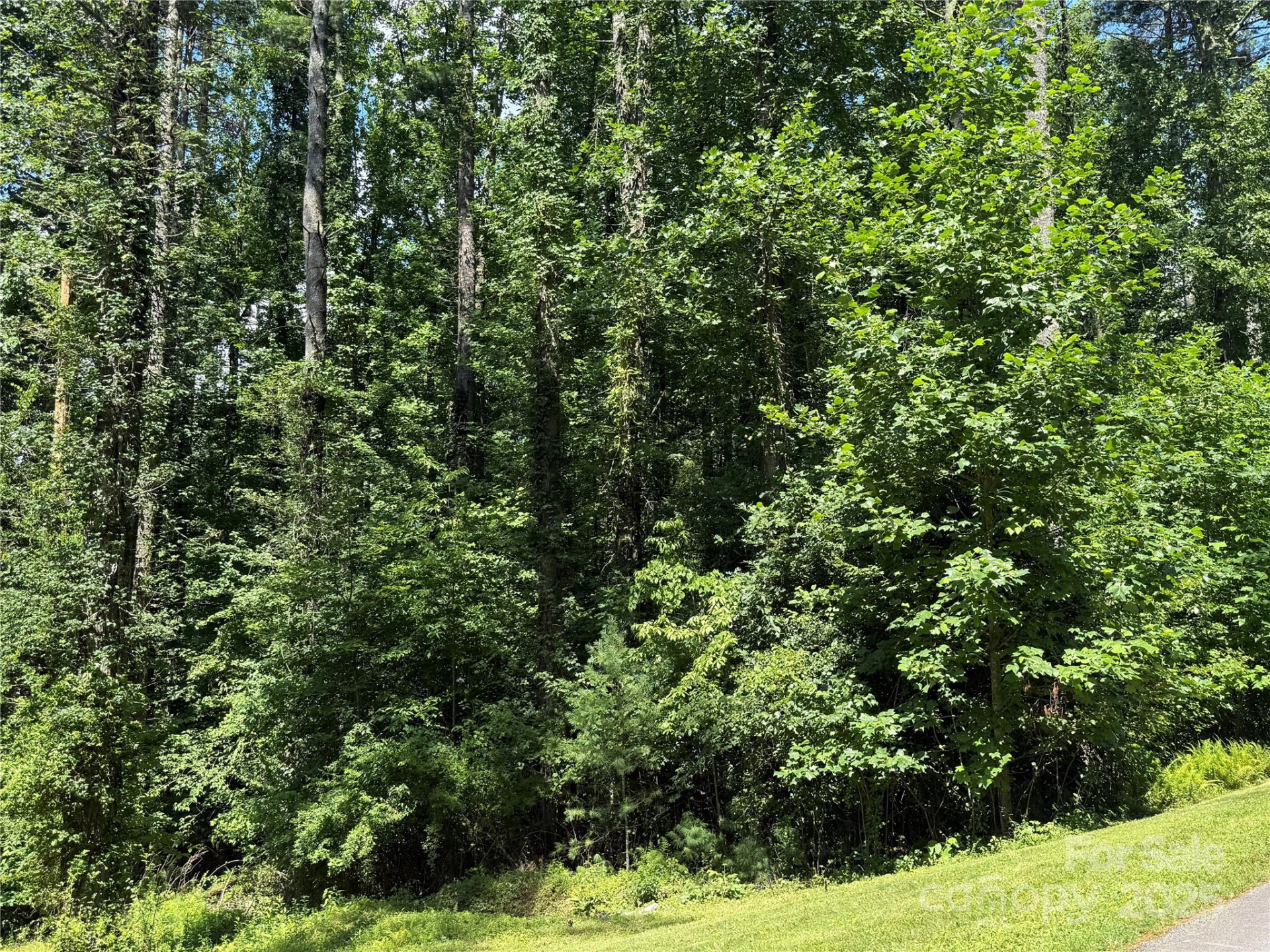 Lot 37 Mountain Brook Trail #37 - Photo 12