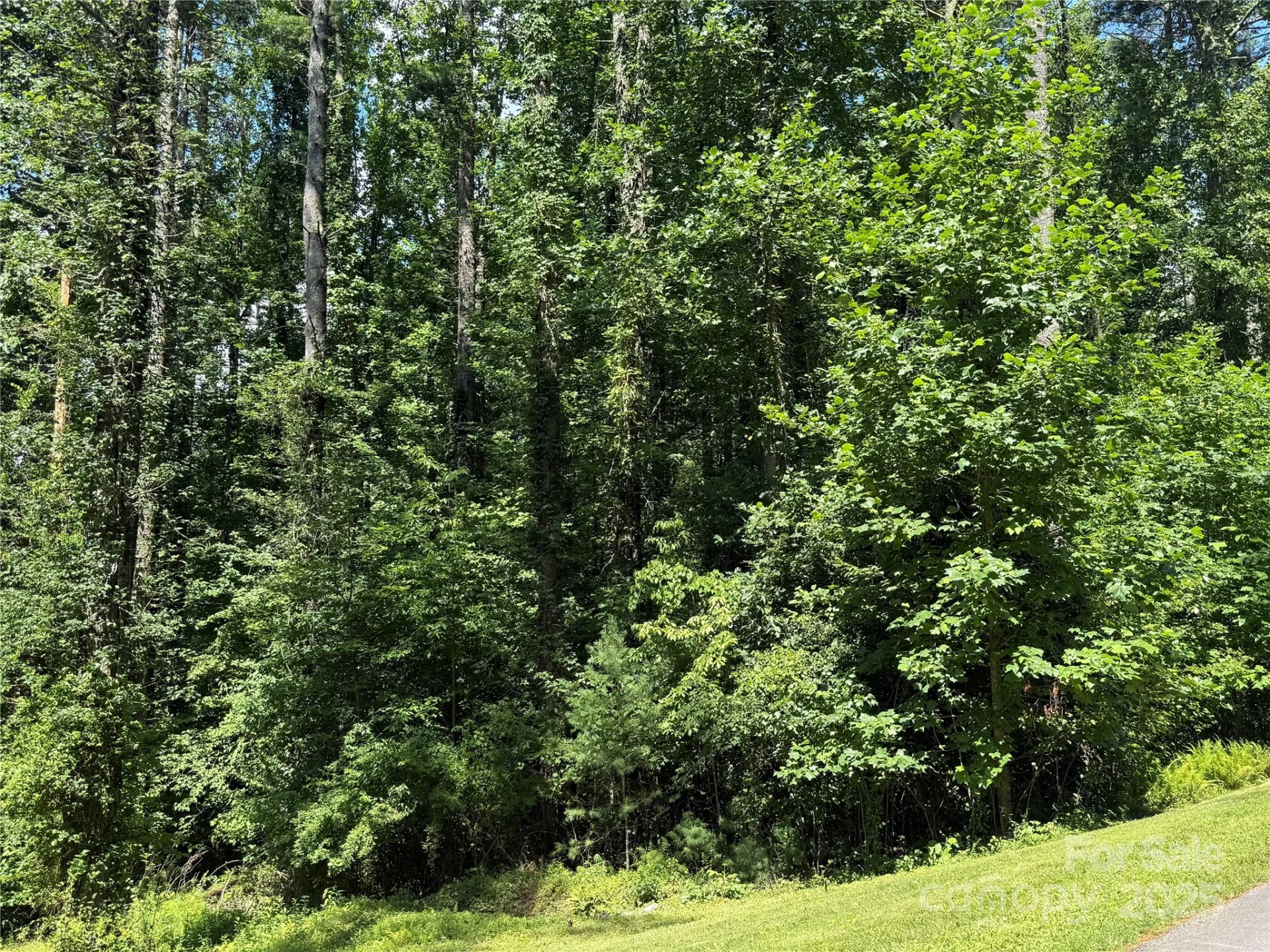 Lot 37 Mountain Brook Trail #37 - Photo 12