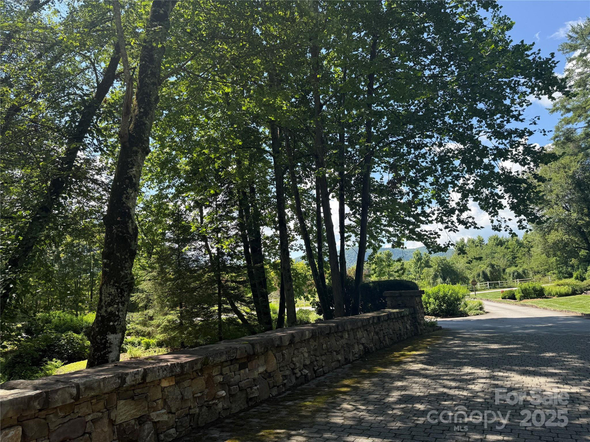 Lot 37 Mountain Brook Trail #37 - Photo 14