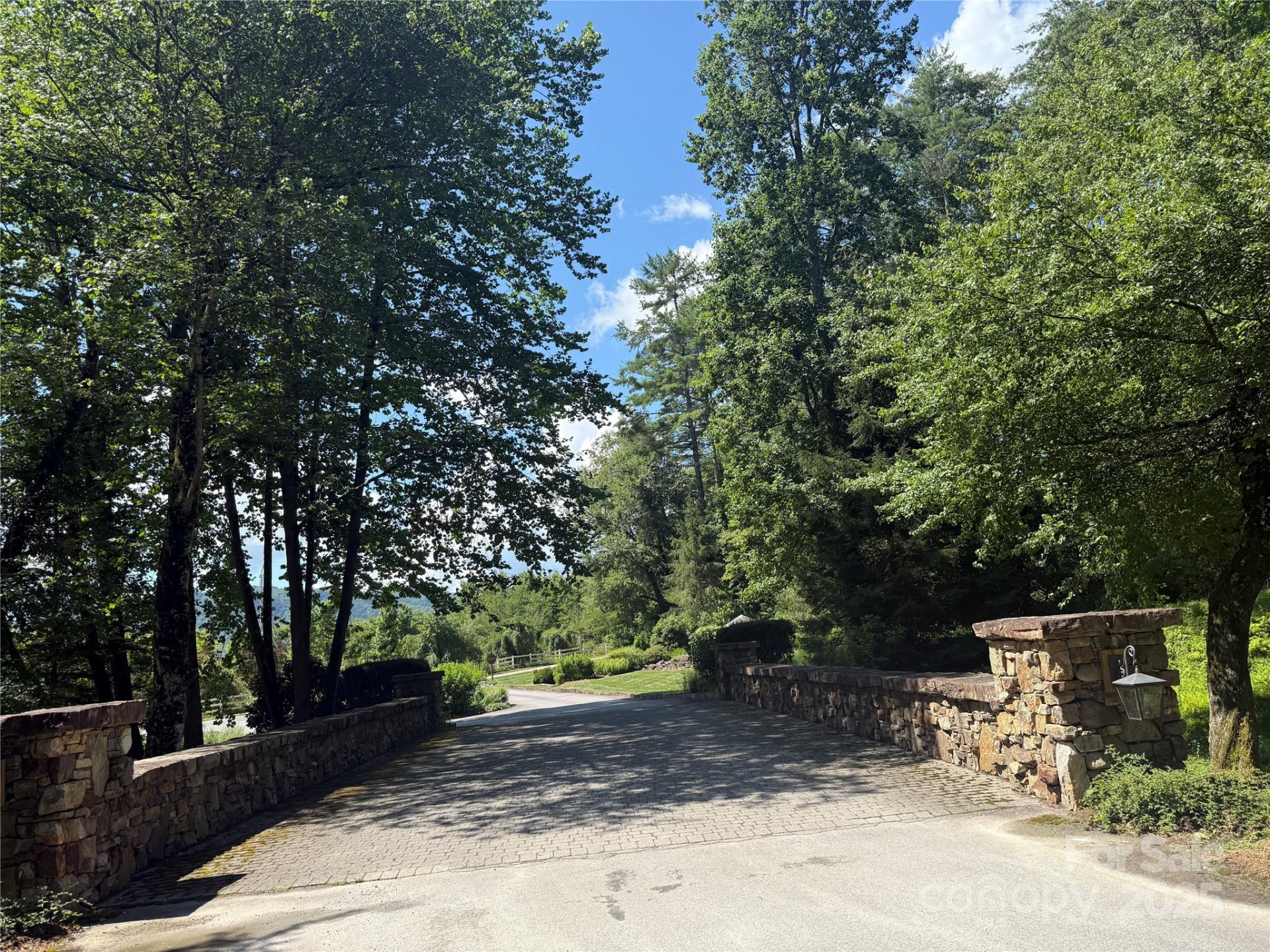 Lot 37 Mountain Brook Trail #37 - Photo 3