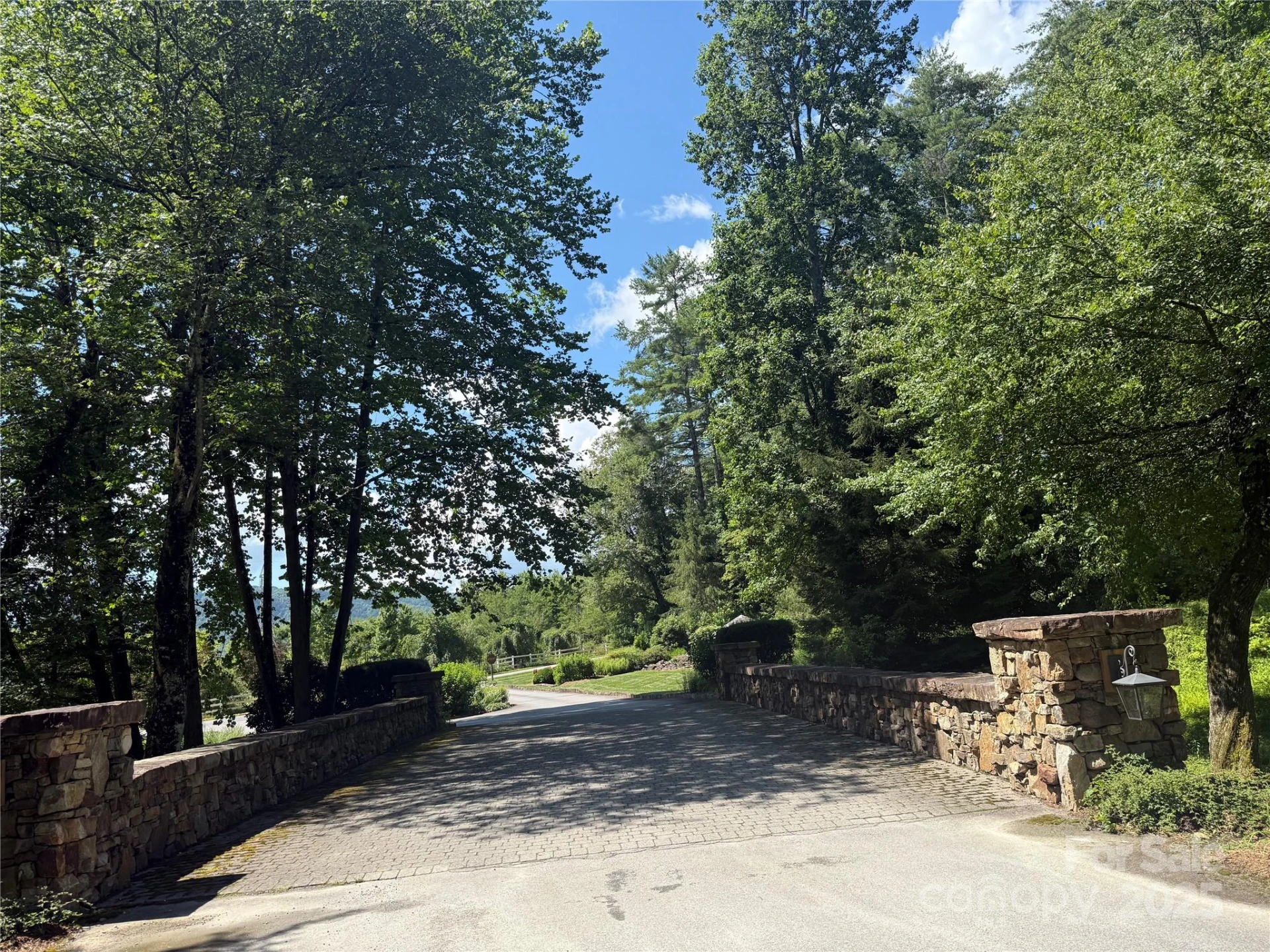 Lot 37 Mountain Brook Trail #37 - Photo 3