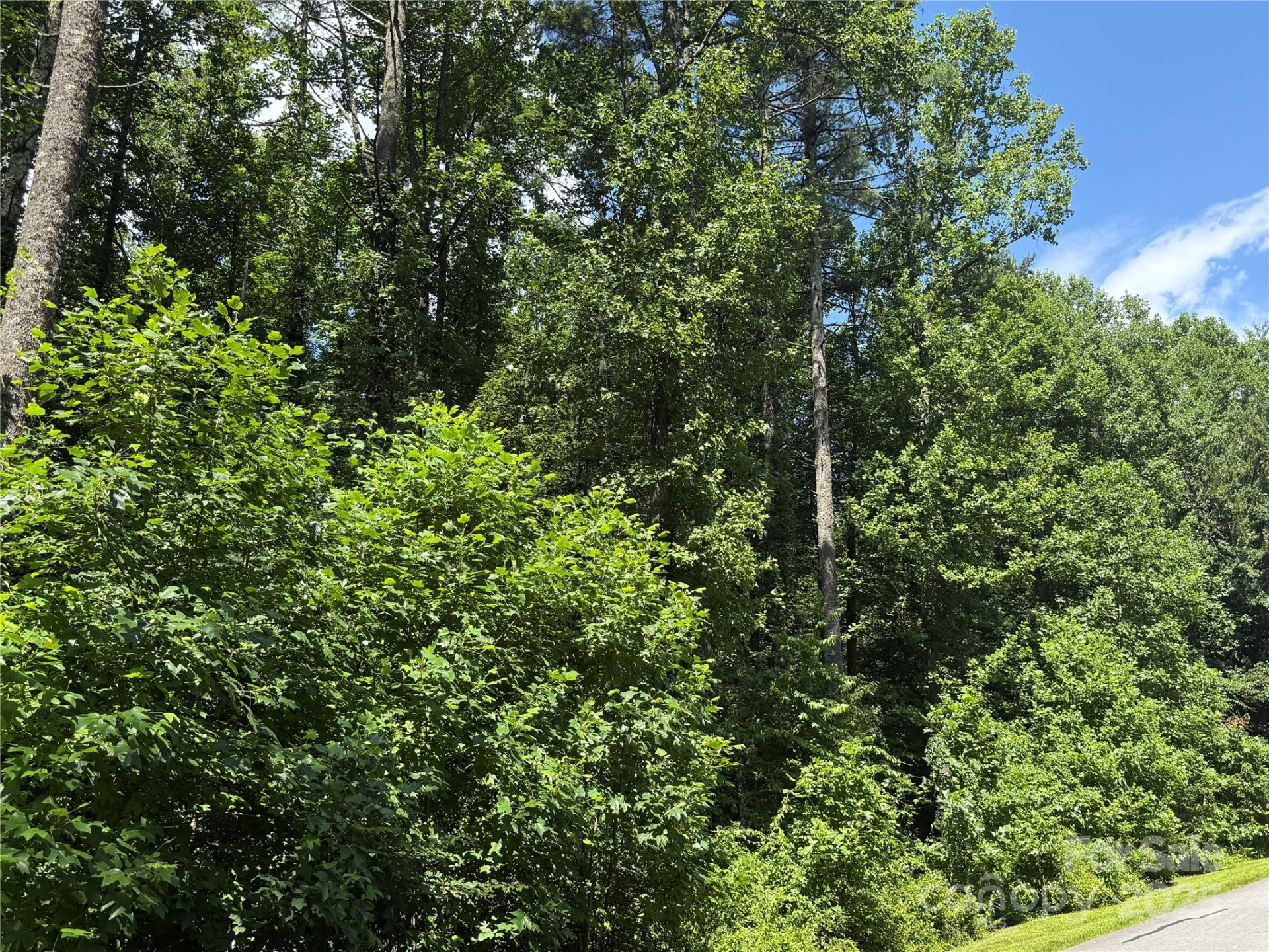 Lot 37 Mountain Brook Trail #37 - Photo 4