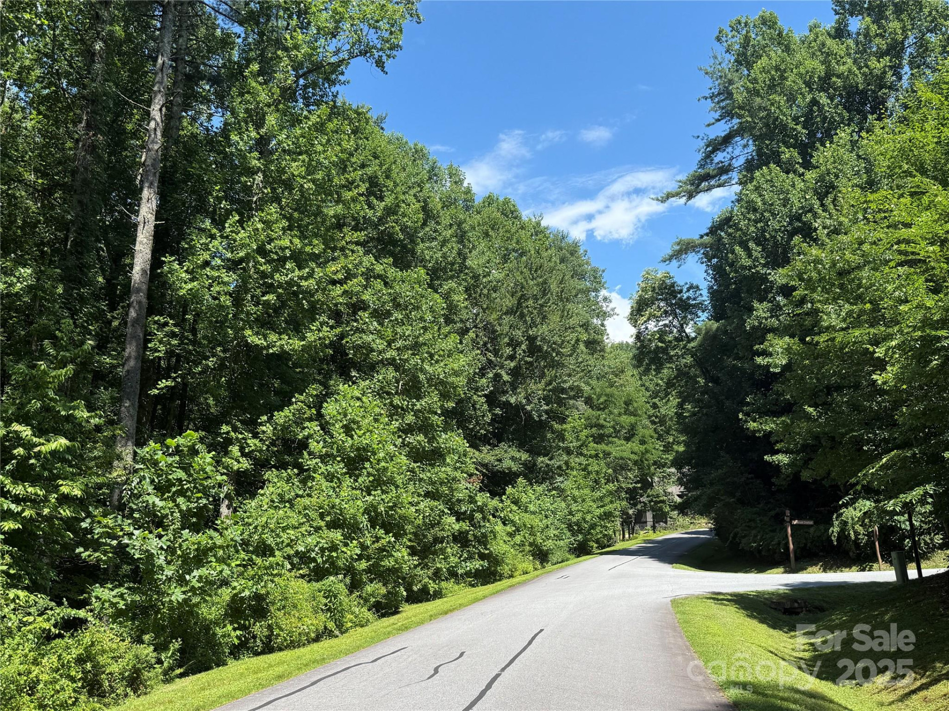 Lot 37 Mountain Brook Trail #37 - Photo 5