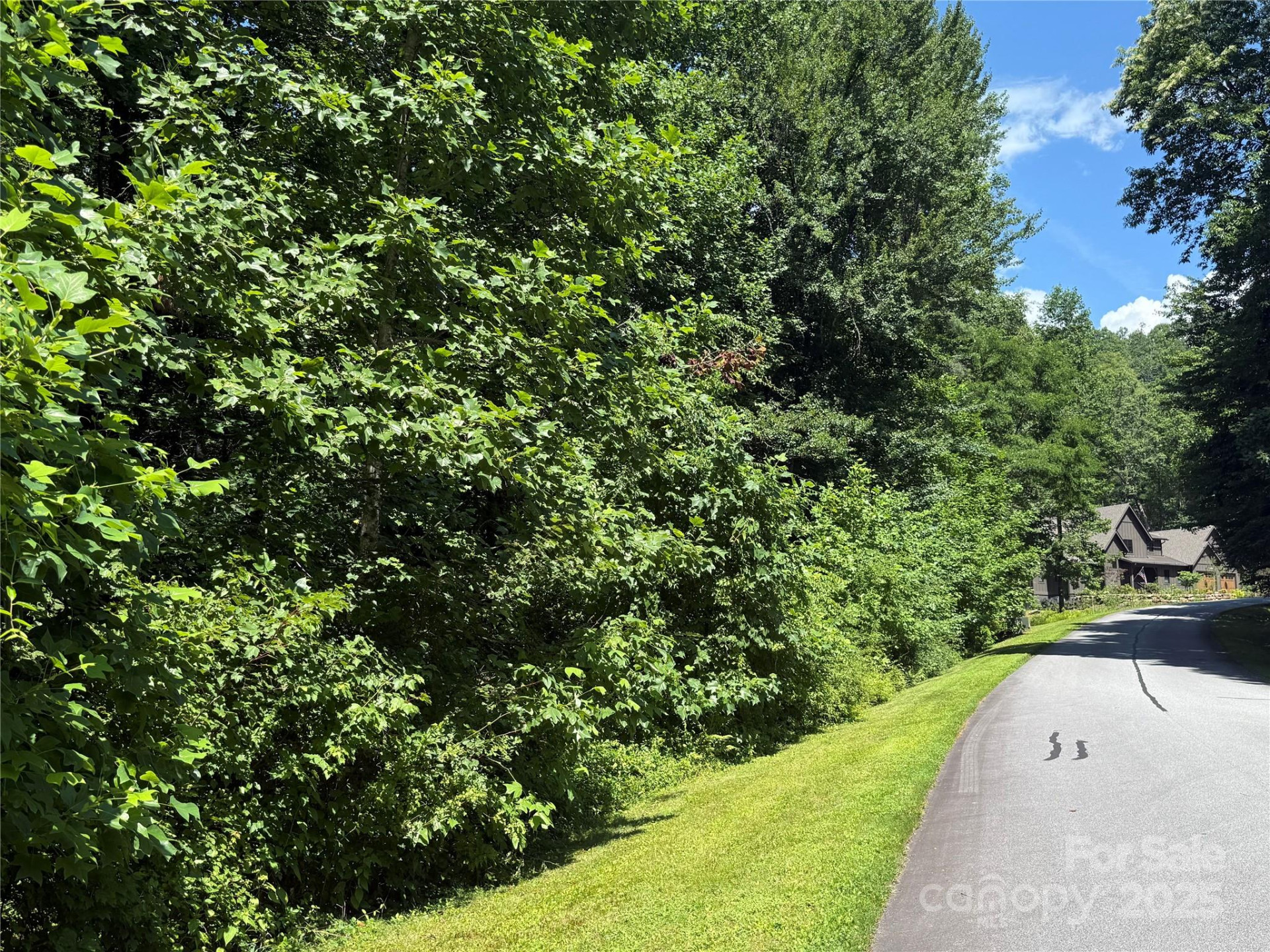 Lot 37 Mountain Brook Trail #37 - Photo 6