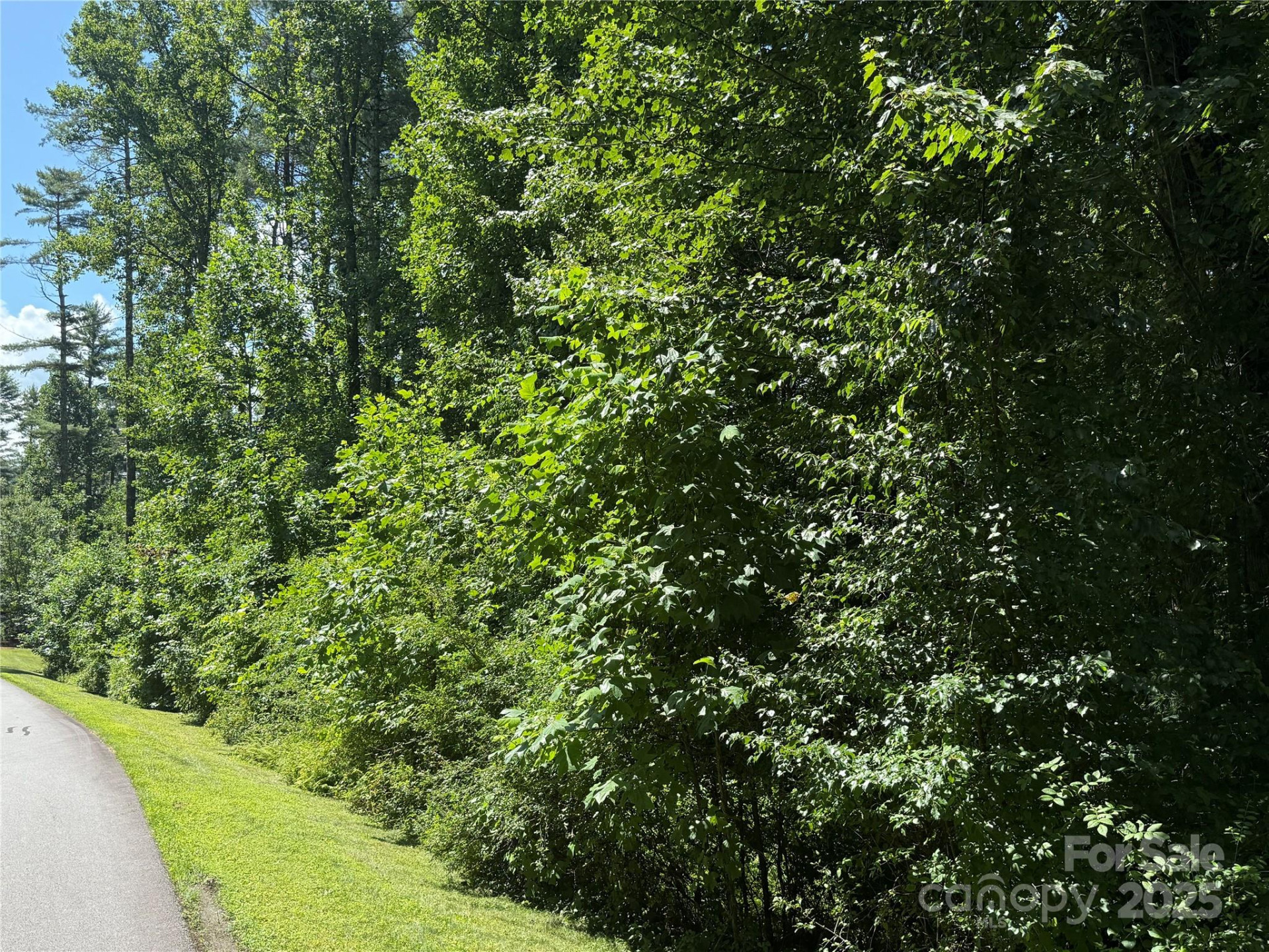 Lot 37 Mountain Brook Trail #37 - Photo 8