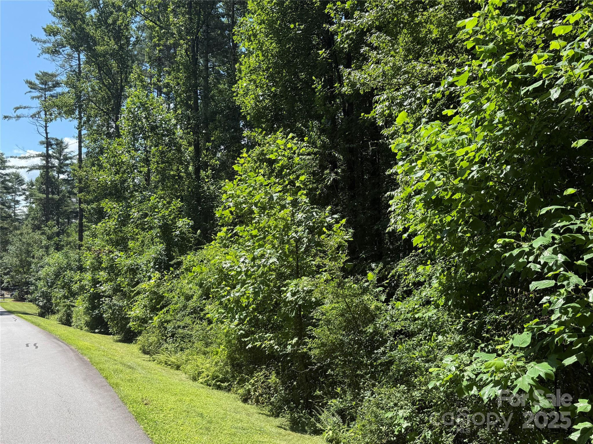 Lot 37 Mountain Brook Trail #37 - Photo 10