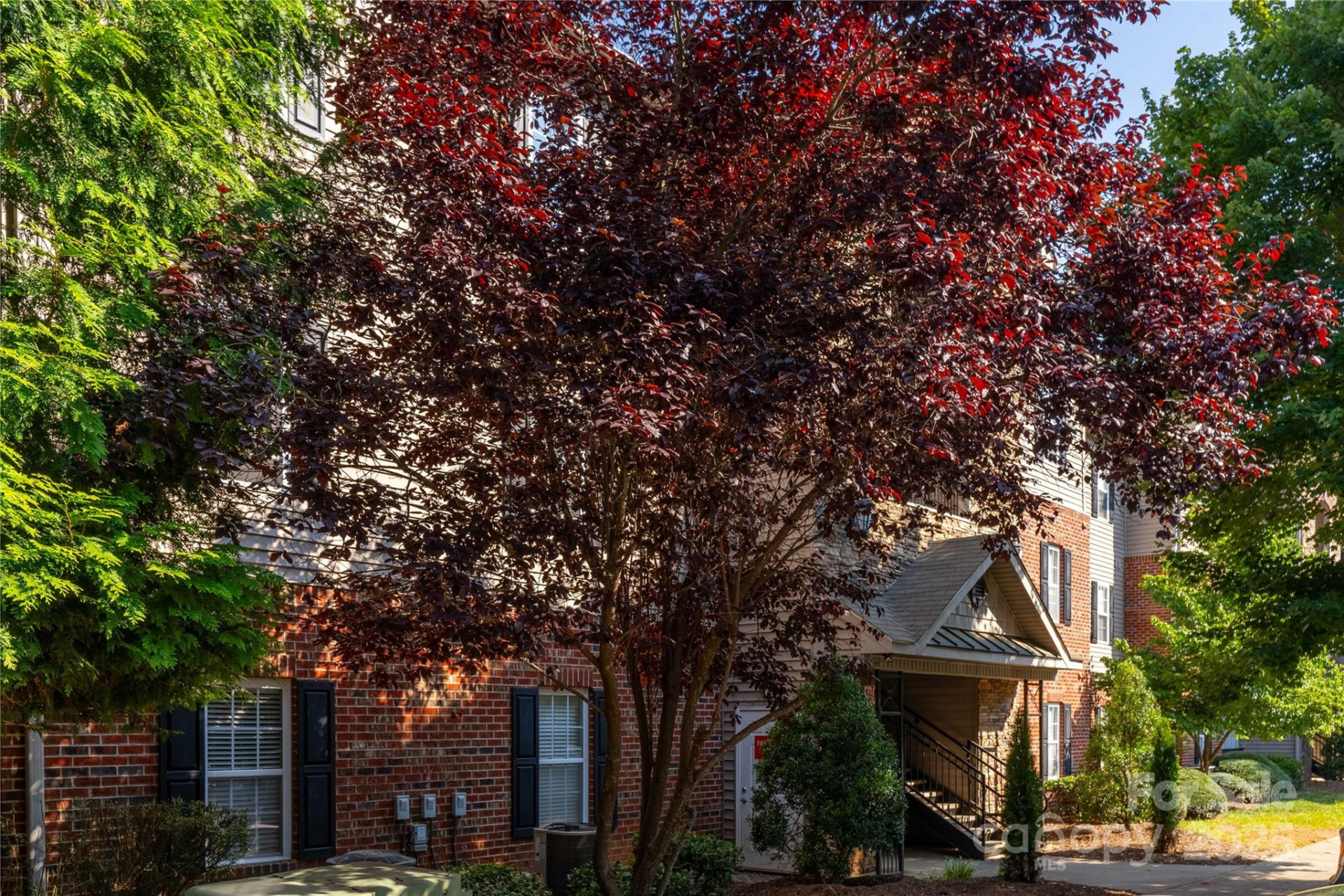 332 Appeldoorn Circle - Photo 2