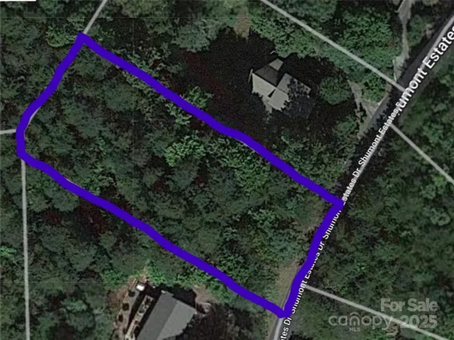 Lot 102 Shumont Estates Drive, Lake Lure, NC, 28746