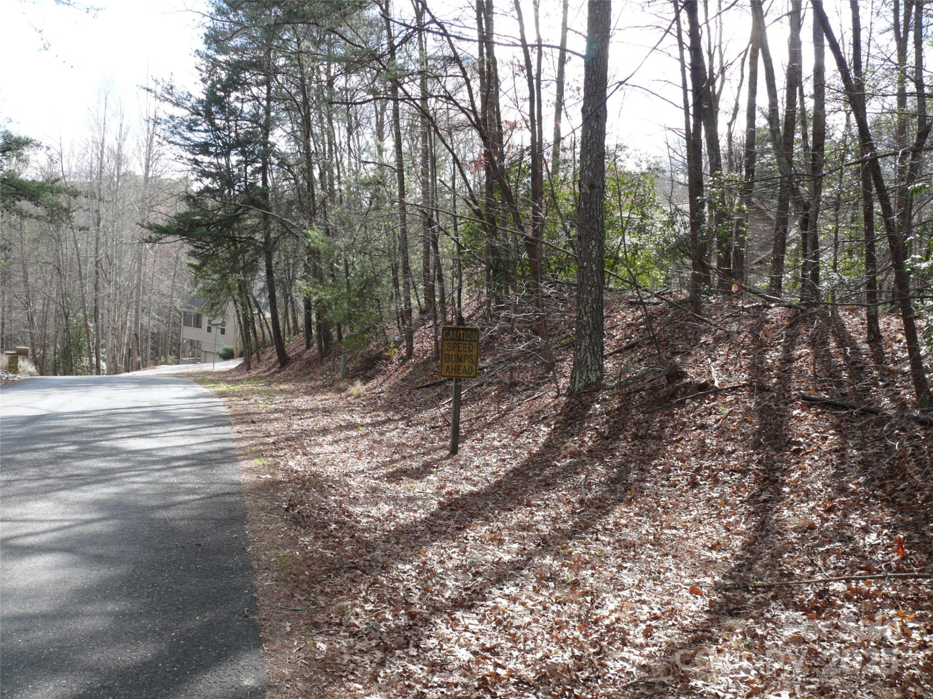 Lot 102 Shumont Estates Drive - Photo 2