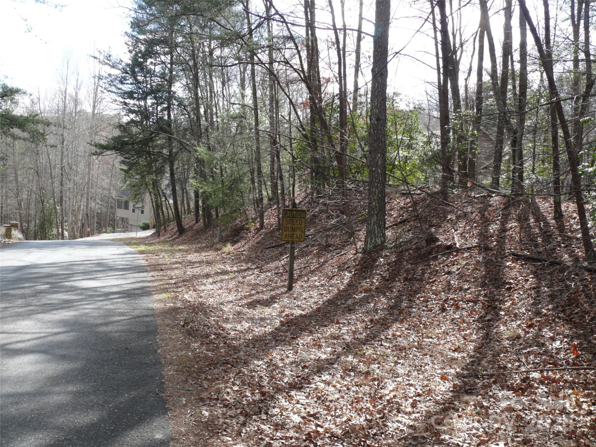 Lot 102 Shumont Estates Drive - Photo 2