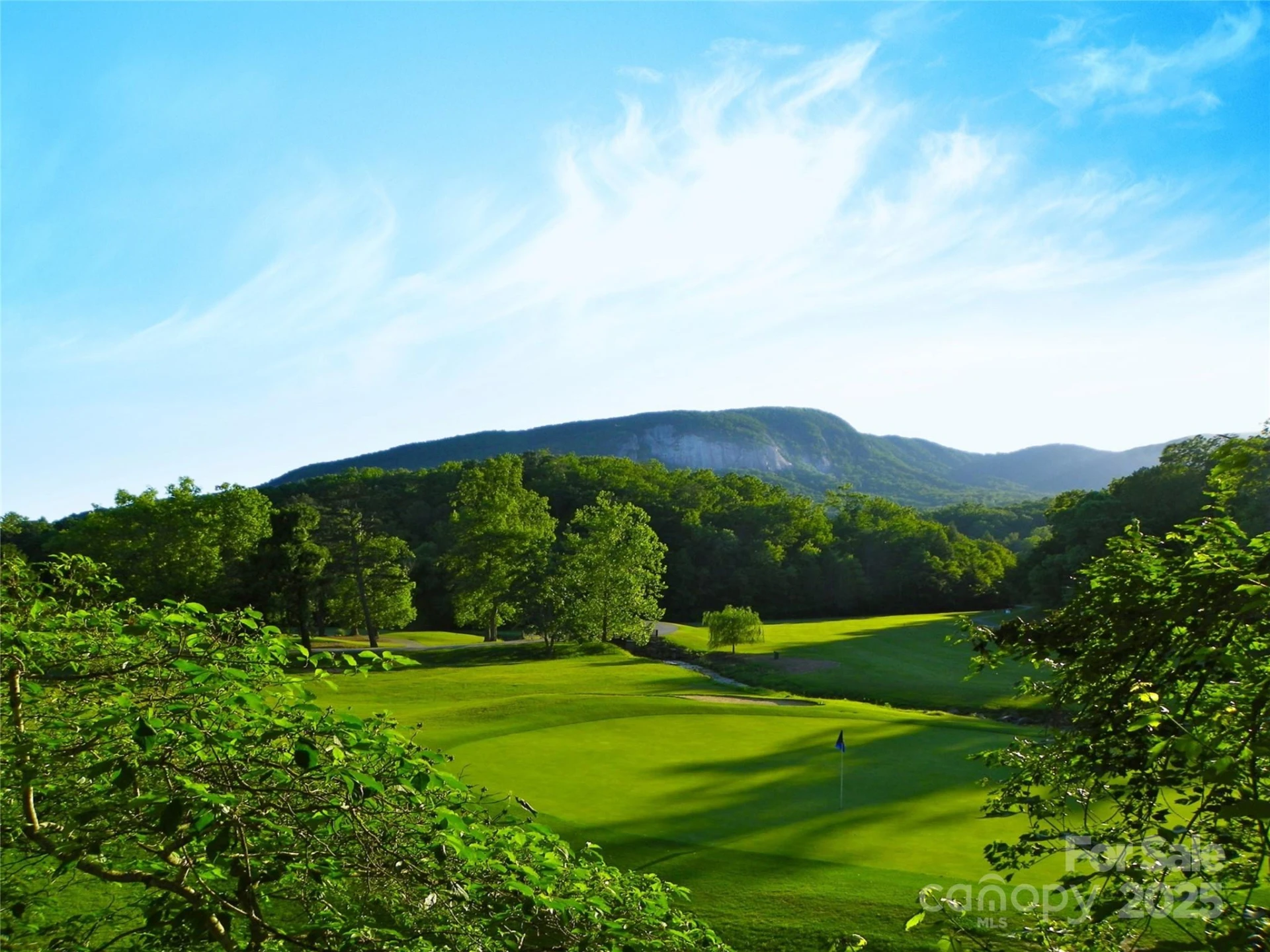 Lot 102 Shumont Estates Drive - Photo 11