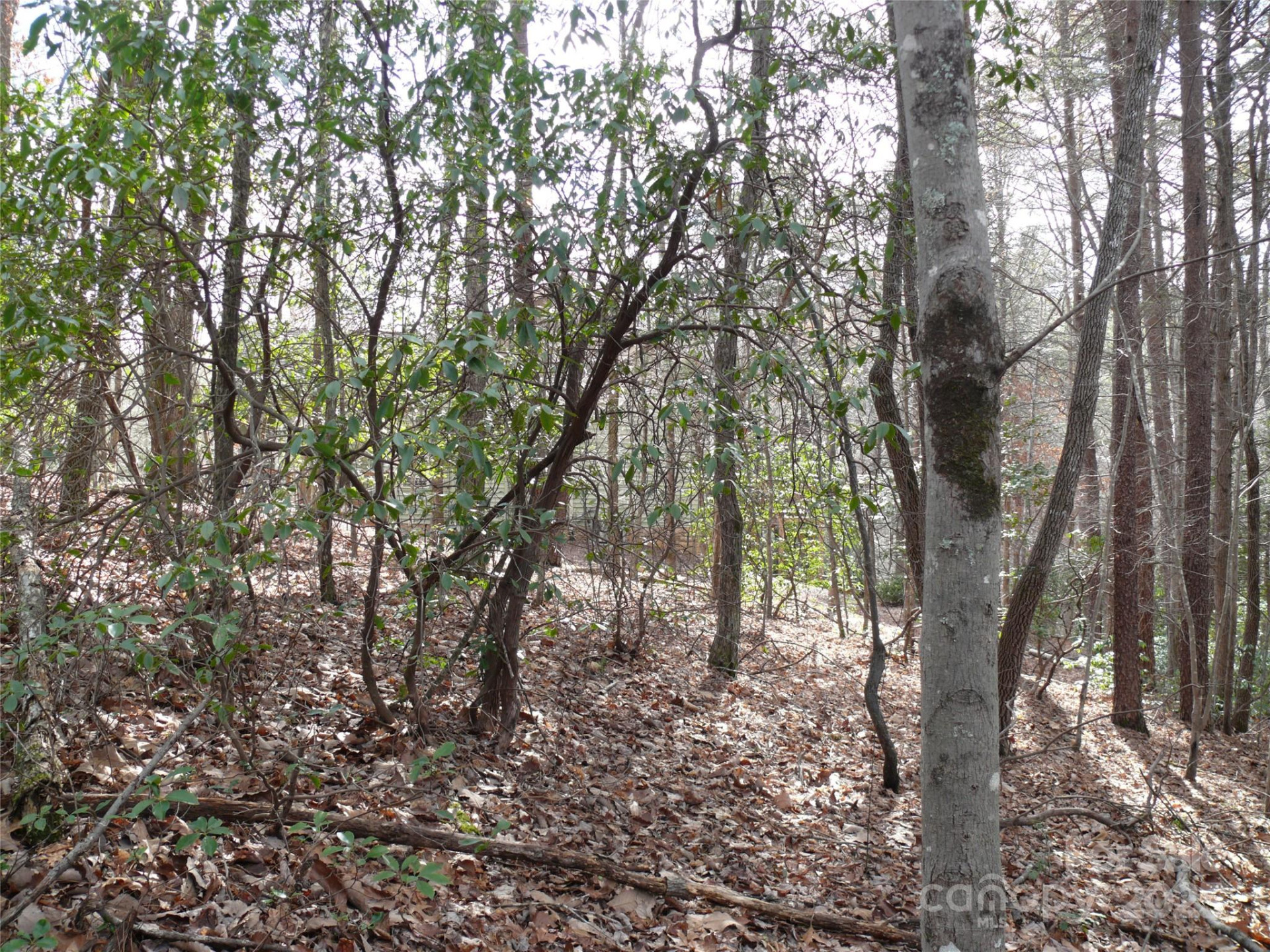 Lot 102 Shumont Estates Drive - Photo 3