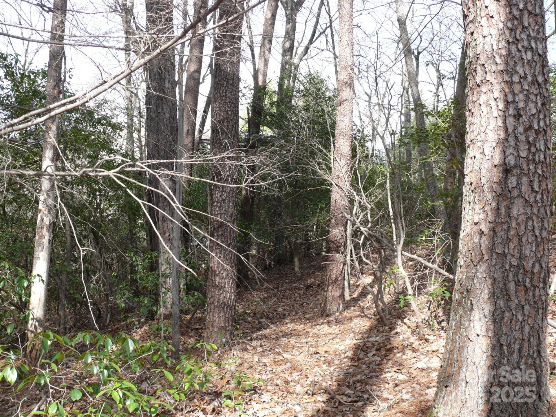 Lot 102 Shumont Estates Drive - Photo 4