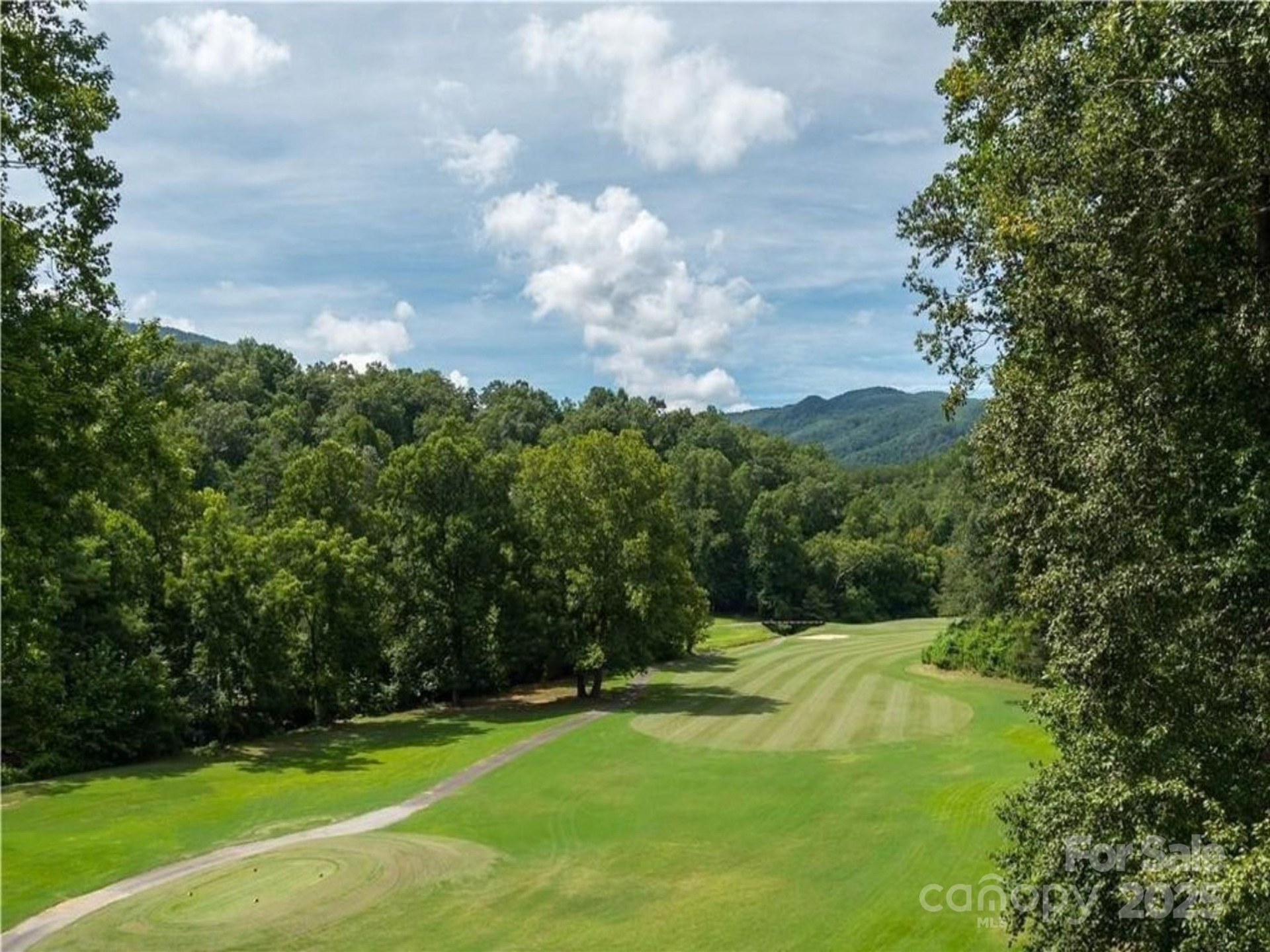 Lot 102 Shumont Estates Drive - Photo 8