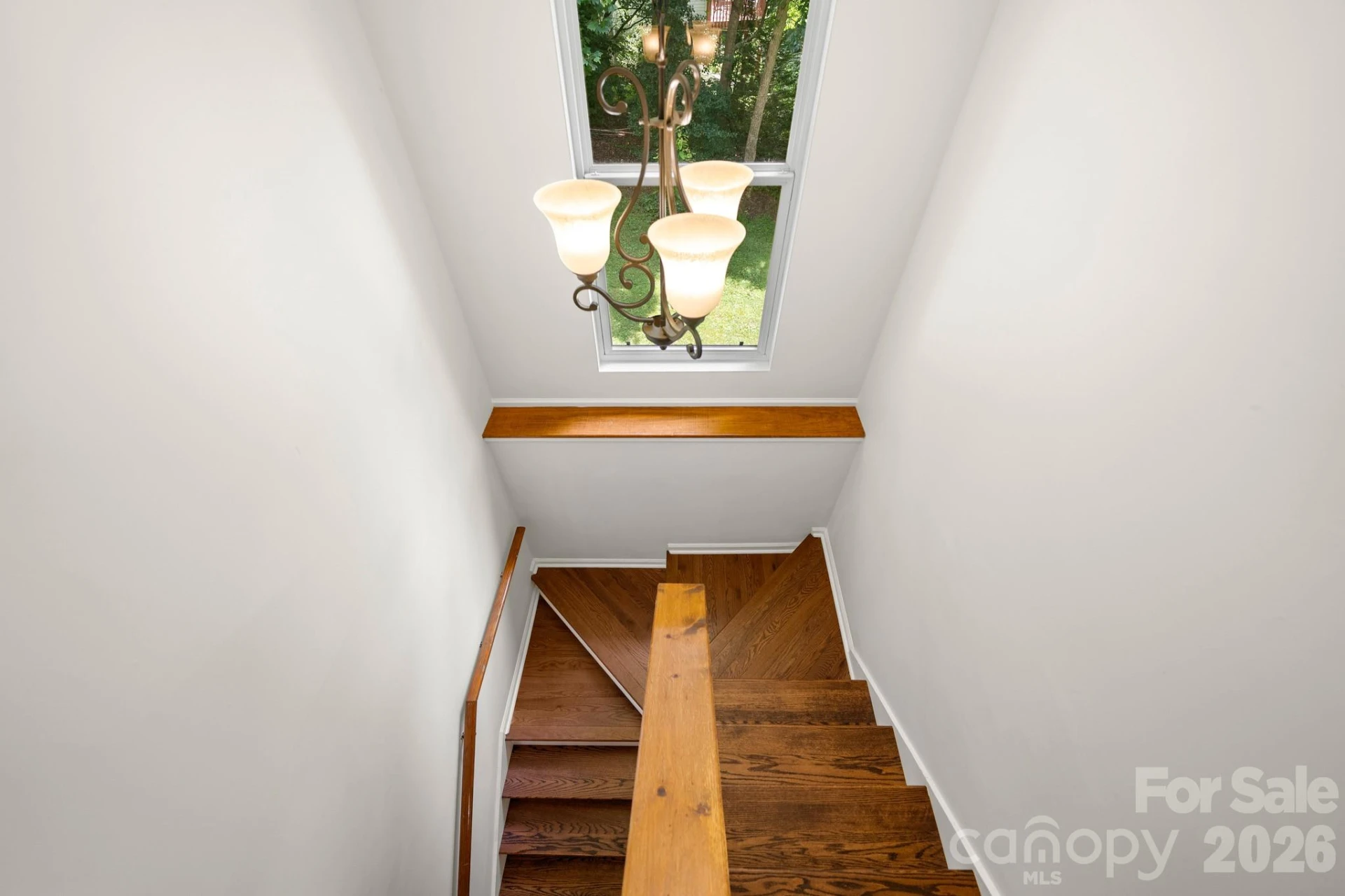 701 Salisbury Road - Photo 29