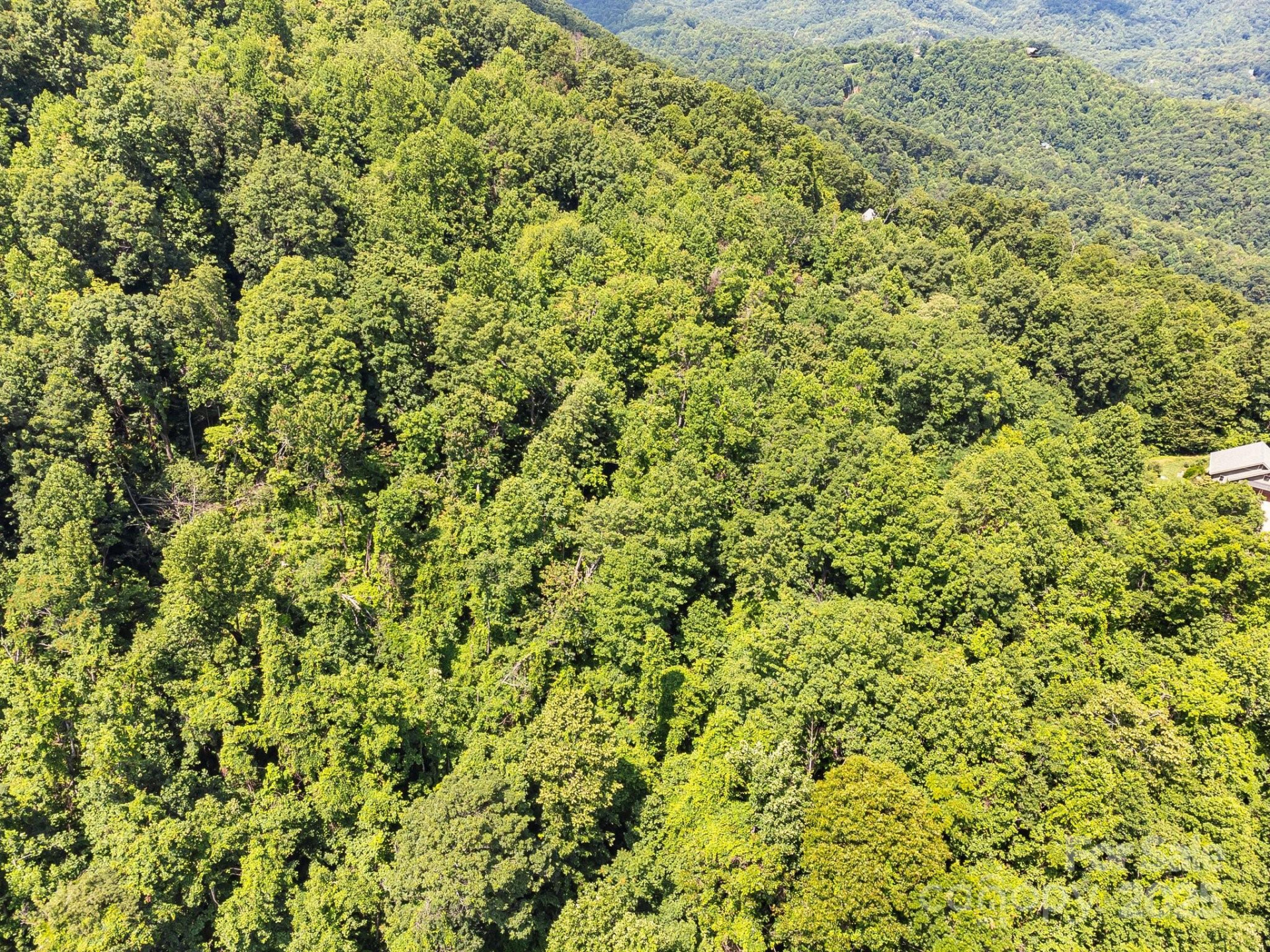 2523 Creston Drive #T-24 - Photo 24