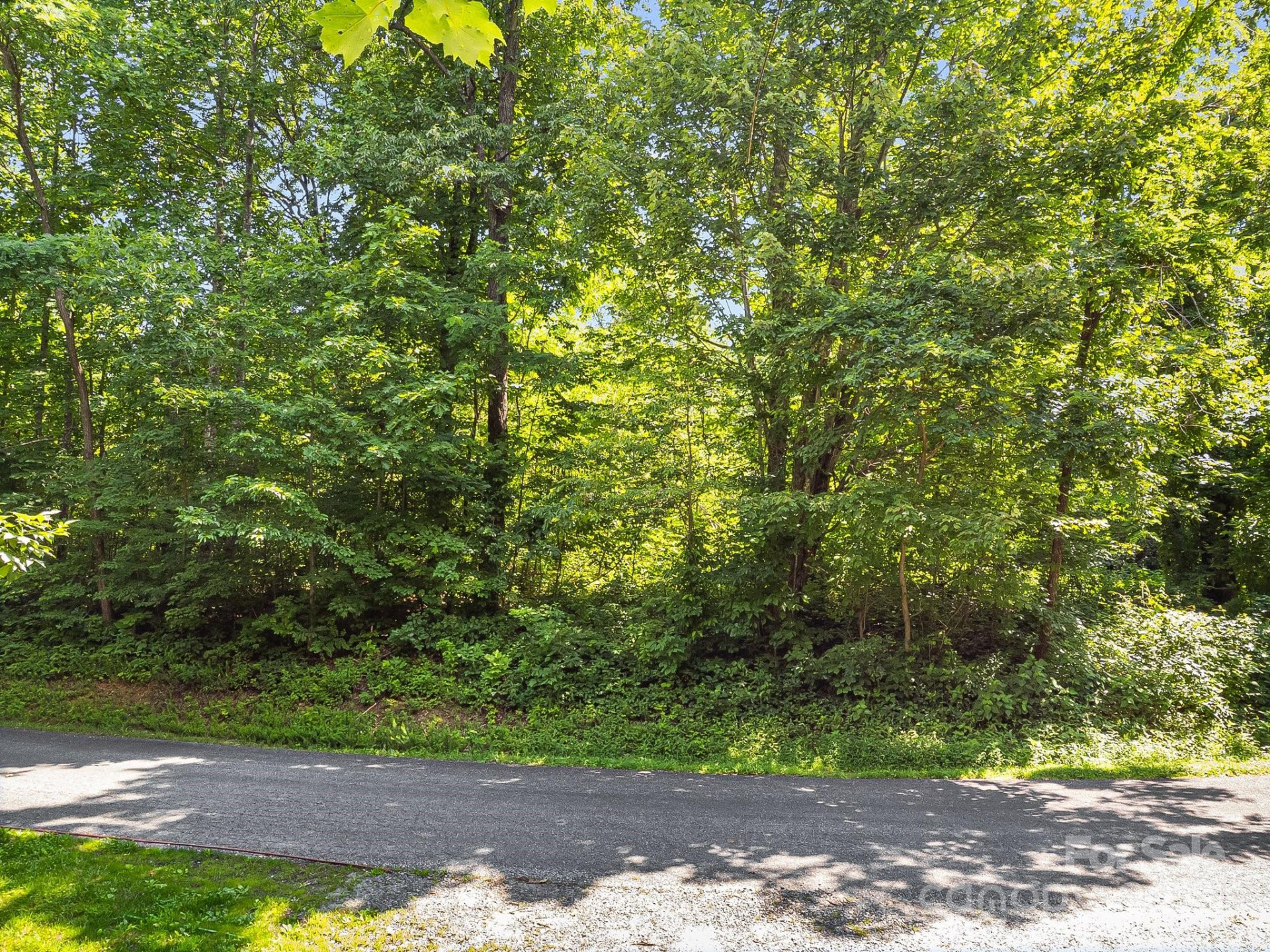 2523 Creston Drive #T-24 - Photo 30