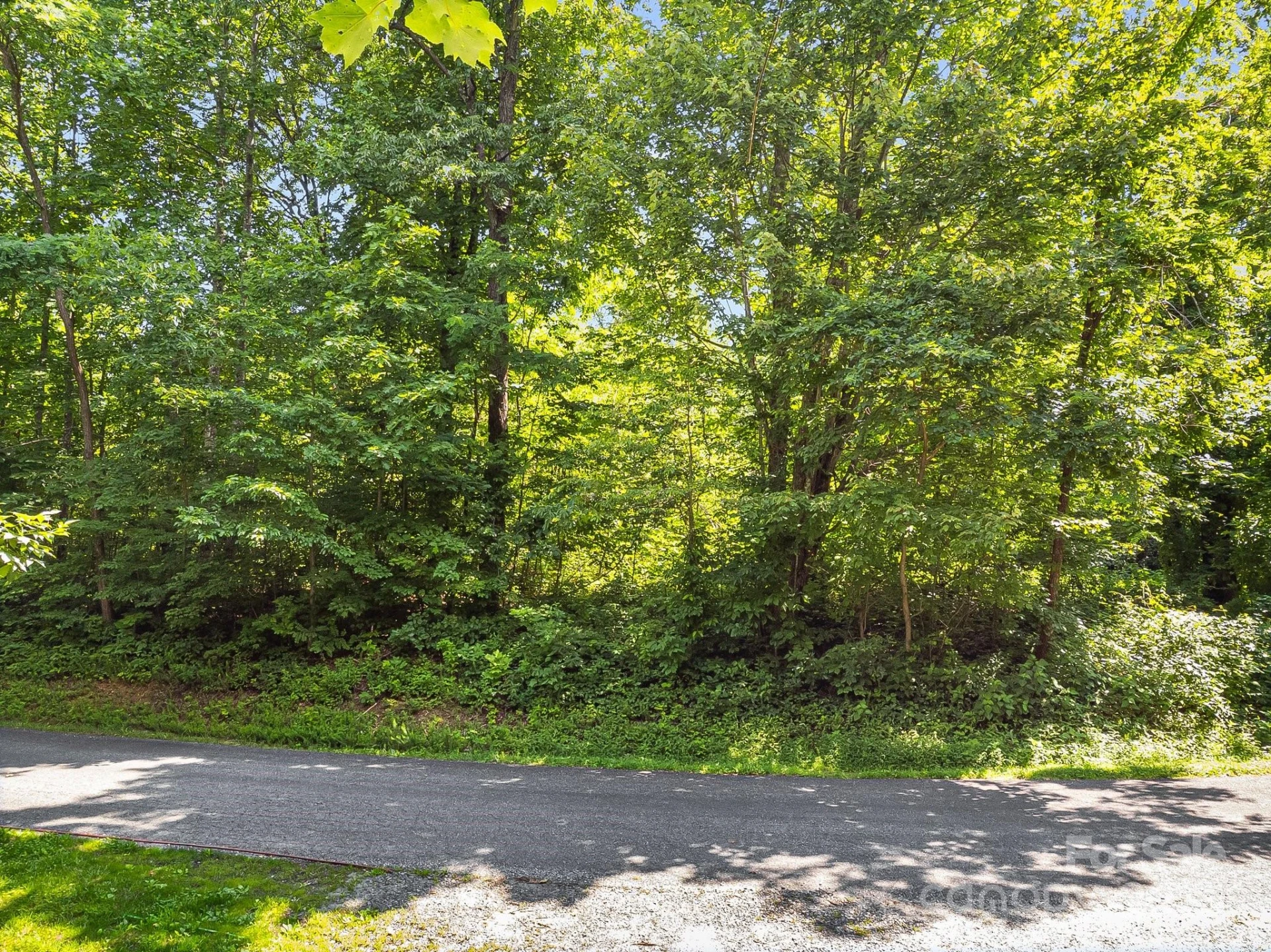 2523 Creston Drive #T-24 - Photo 30