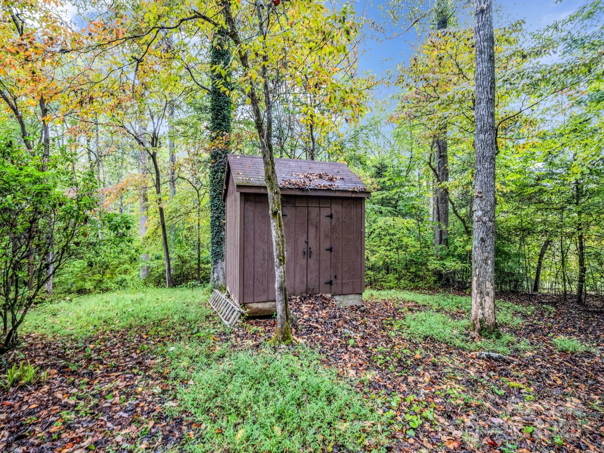 421 Chickadee Lane - Photo 29