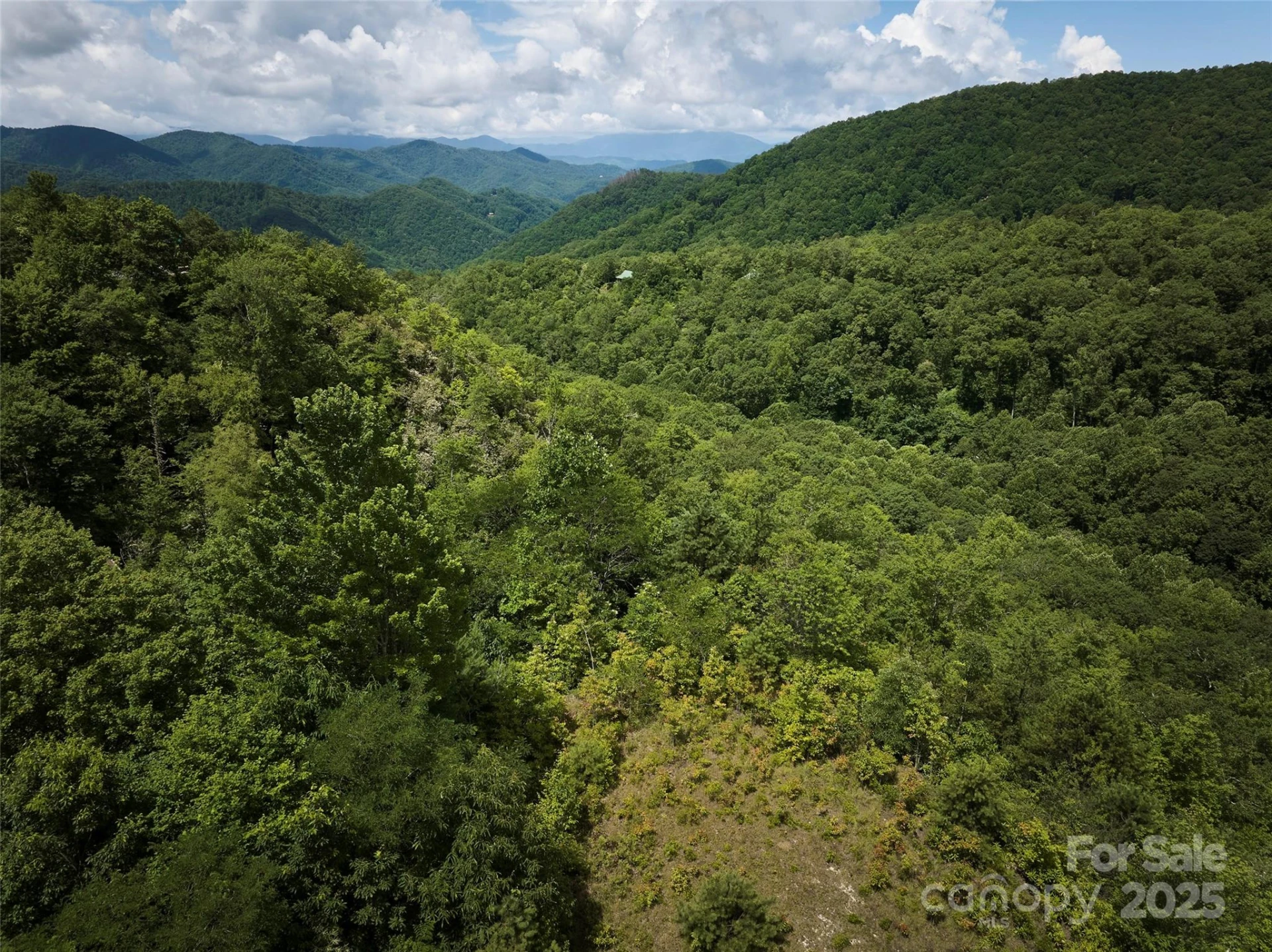 Lot 24 Piedmont Way #24