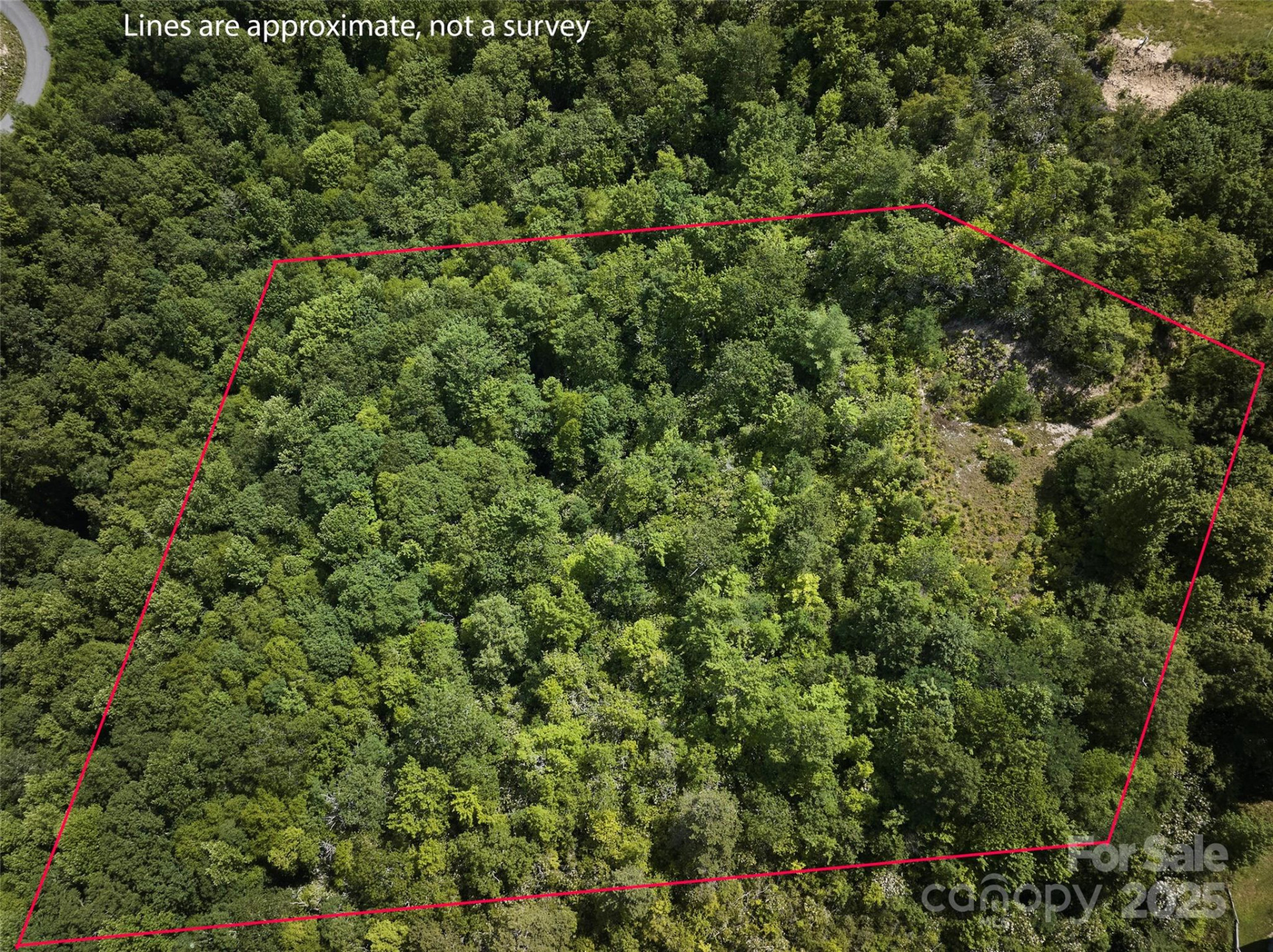 Lot 24 Piedmont Way #24 - Photo 2