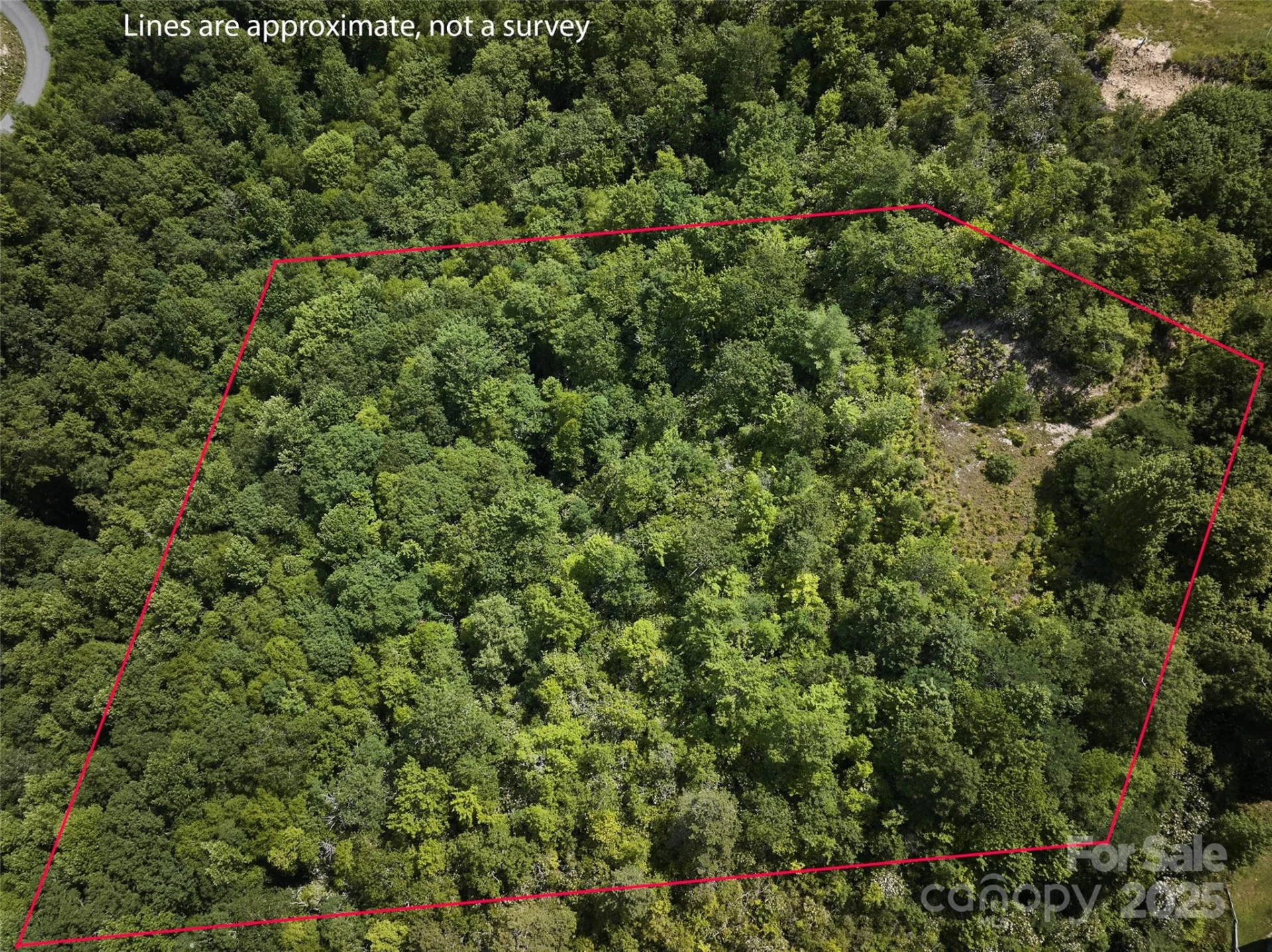 Lot 24 Piedmont Way #24 - Photo 2