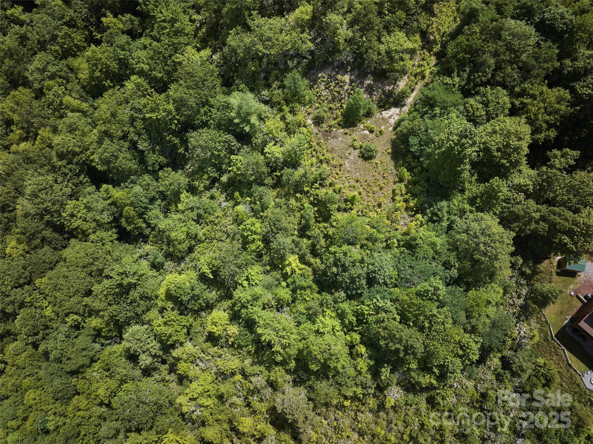 Lot 24 Piedmont Way #24 - Photo 6