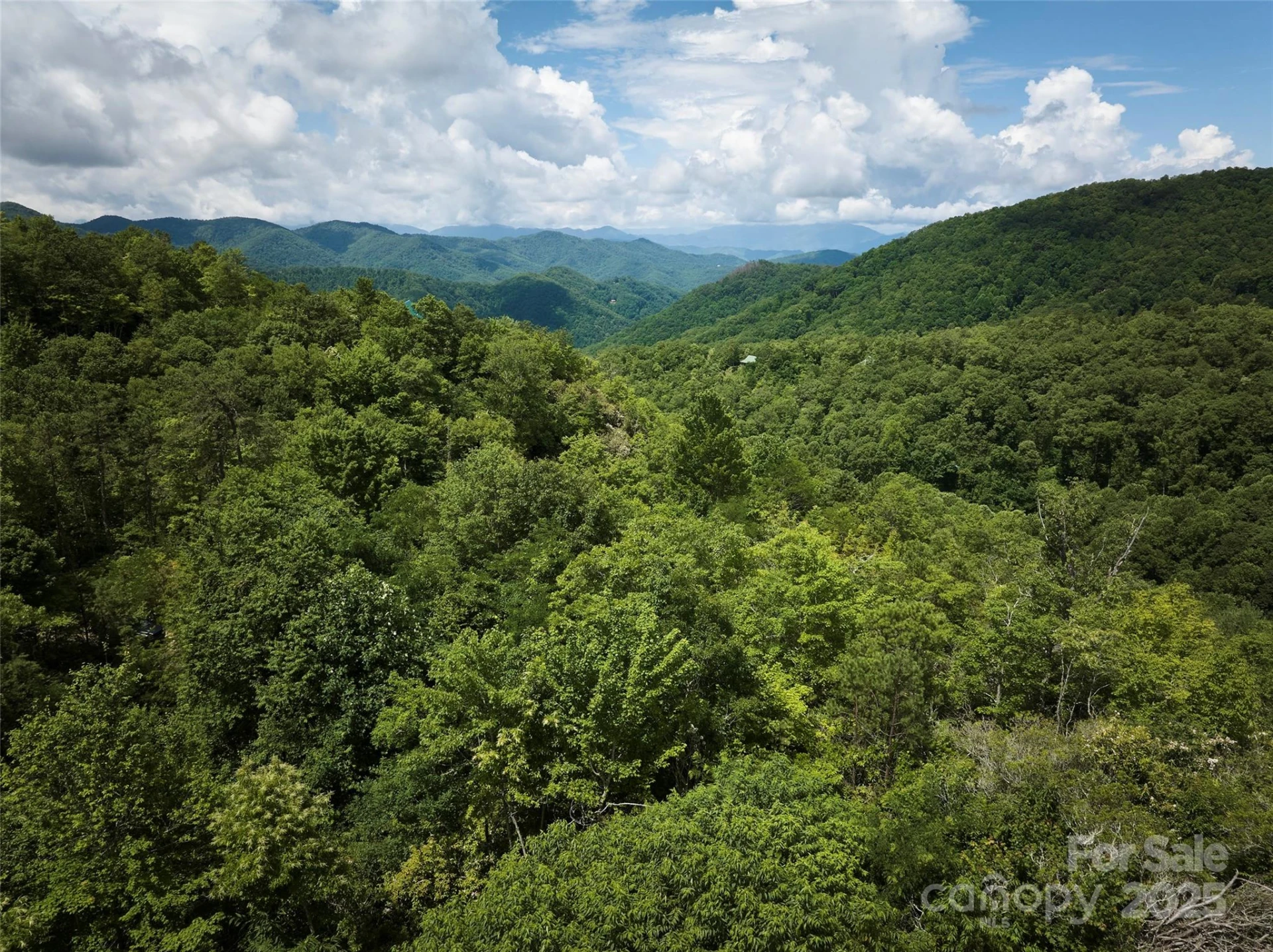 Lot 24 Piedmont Way #24 - Photo 7