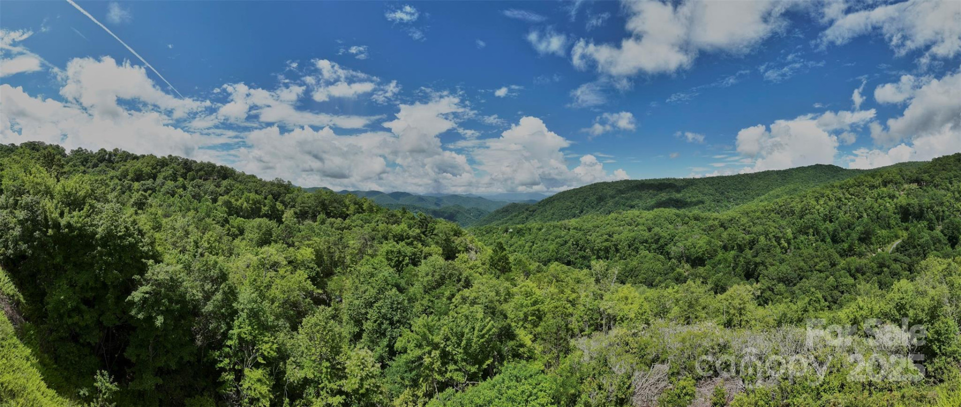 Lot 24 Piedmont Way #24 - Photo 8