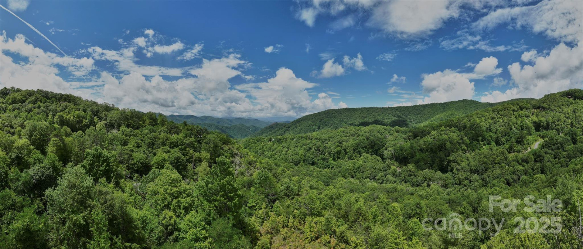 Lot 24 Piedmont Way #24 - Photo 9