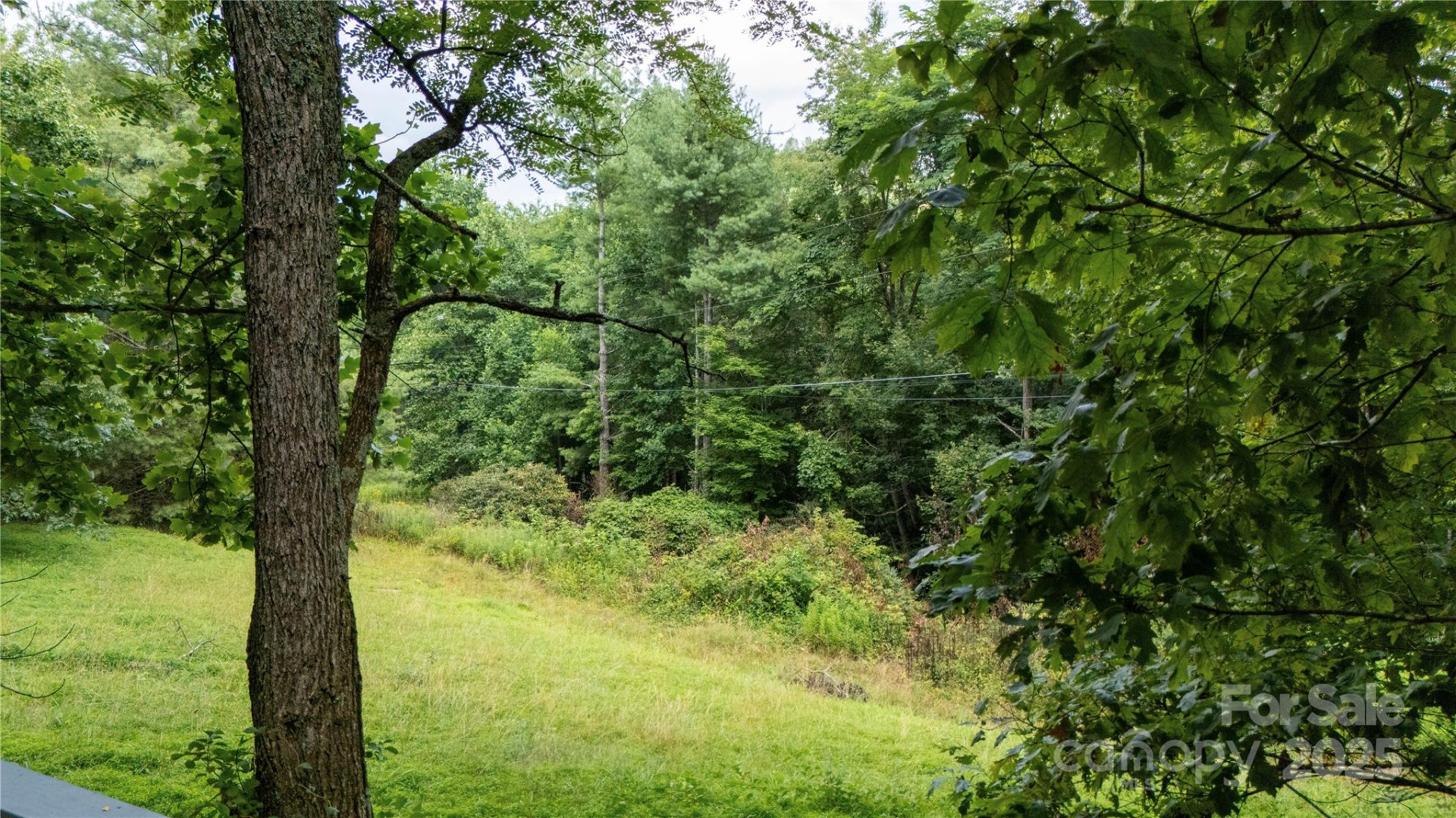 572 Blue Ridge Gem Stone Road - Photo 26