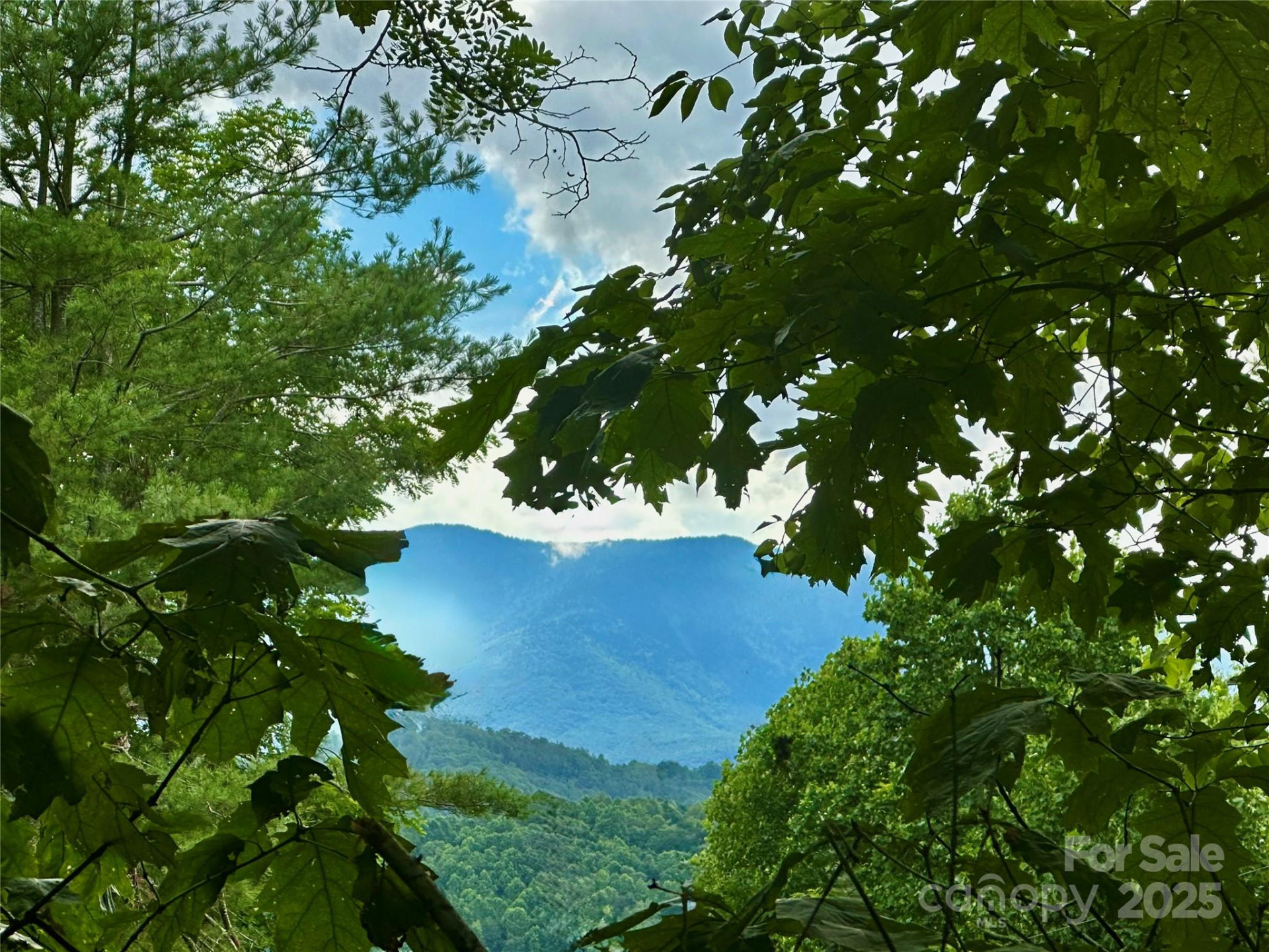 572 Blue Ridge Gem Stone Road - Photo 4