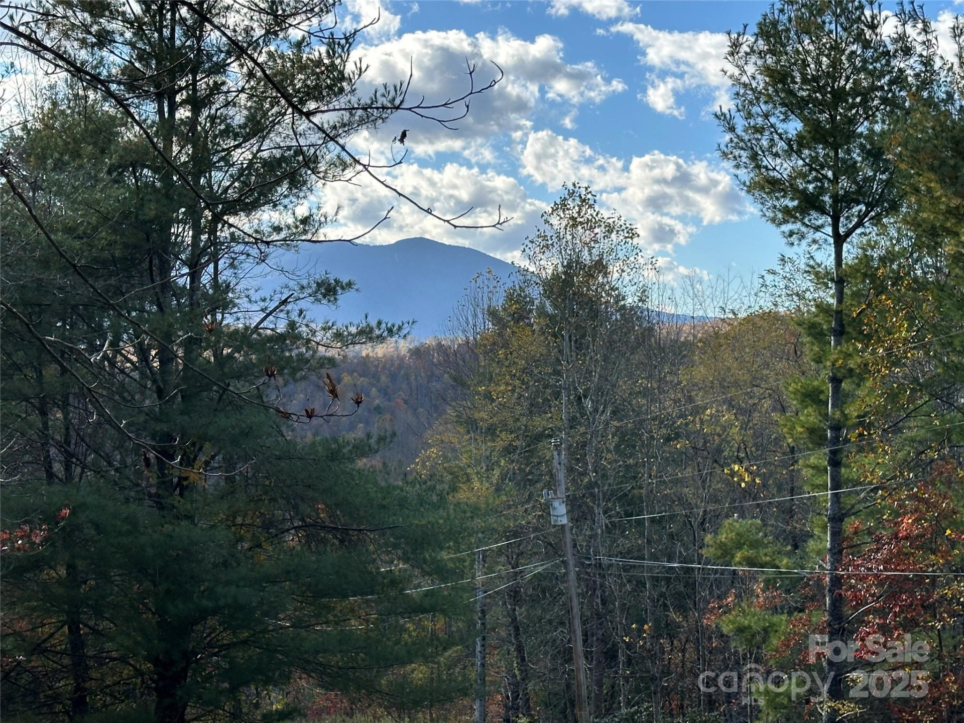 572 Blue Ridge Gem Stone Road - Photo 36